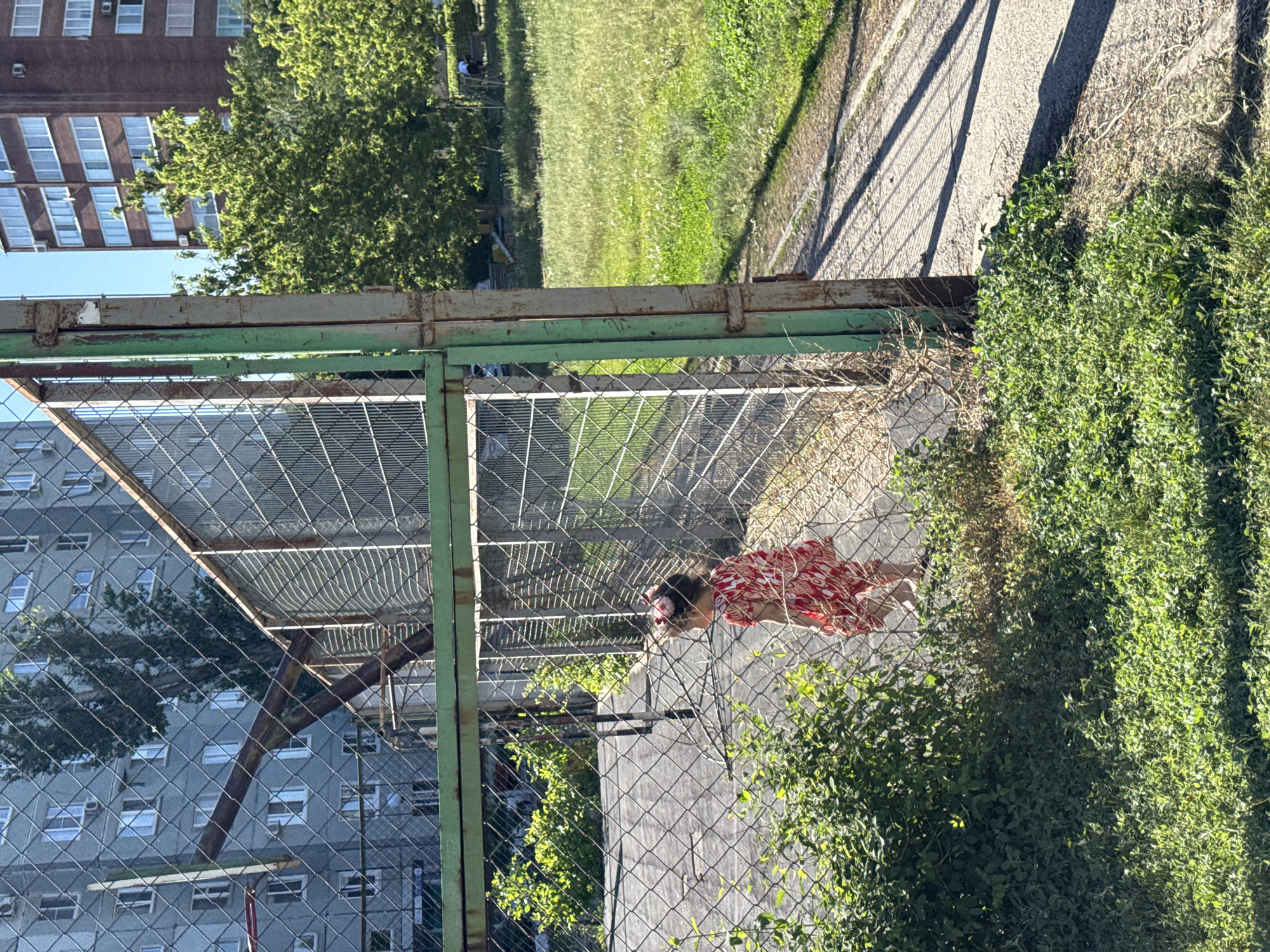 A medium, eye-level shot depicts a woman in a red-and-white patterned dress lying on her side in an urban setting. She is positioned on a paved surface, visible through a chain-link fence with a weathered green frame. To the right of the woman, dense, green vegetation obscures the view. Behind the fence, a grassy area extends to a sidewalk, beyond which stands a large, multi-story building with numerous windows. The setting seems to be in the city of Unknown, Unknown.