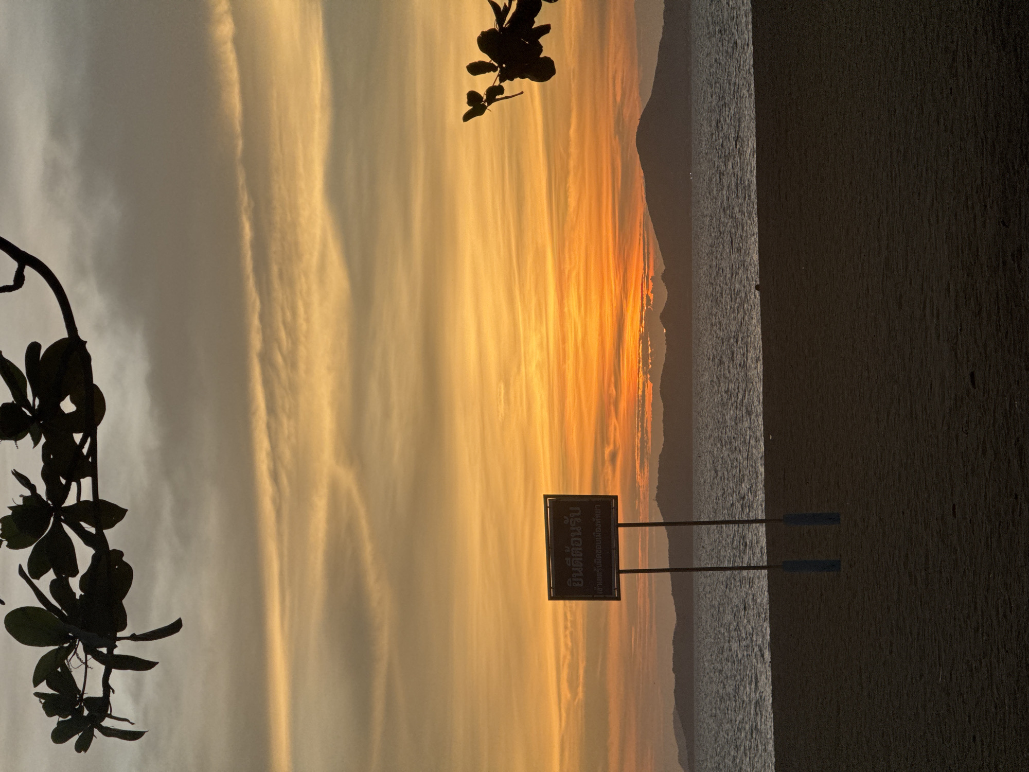 The image captures a sunset at a beach in Pattaya City, Thailand. The sky is filled with golden and orange hues, creating a dramatic backdrop. A sign is visible in the foreground, written in Thai script, possibly indicating a location or warning. Silhouetted plants frame the left side of the image, adding depth. The beach is sandy, and the water stretches towards the horizon, meeting the distant hills. The overall scene evokes a sense of tranquility and natural beauty.