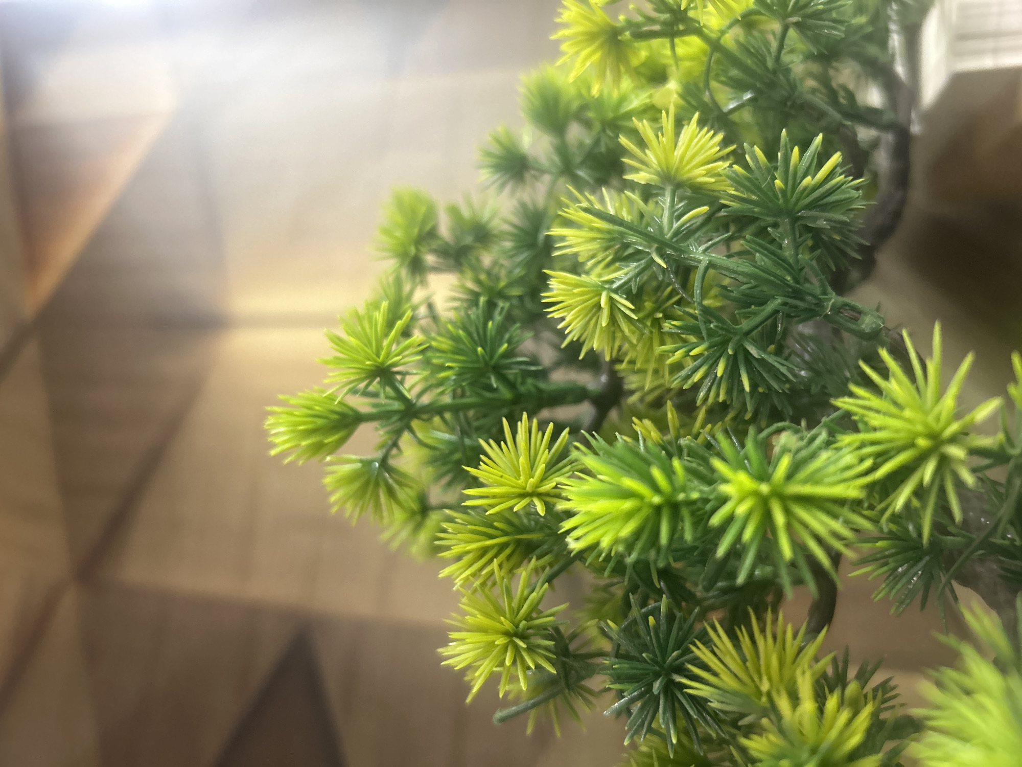 A close-up, high-angle shot captures an artificial green plant, likely a decorative item. The plant occupies the right and central portions of the frame, with its foliage appearing in various shades of green, ranging from a vibrant lime or yellowish-green at the tips of the "needles" to a darker, deeper green closer to the stem-like structures. The leaves are spiky and clustered, giving the impression of a small conifer or a similar ornamental plant.
The background is significantly out of focus, creating a soft, blurred effect. It primarily consists of warm, muted tones of brown and beige, with some lighter, almost white, areas suggesting reflections or bright light sources. Geometric patterns, possibly from wood grain or paneling, are faintly visible through the blur in the background, particularly in the lower left and upper left corners. The overall lighting appears bright, possibly indicating an indoor setting with good illumination. There is no discernible activity taking place, and no text is visible.