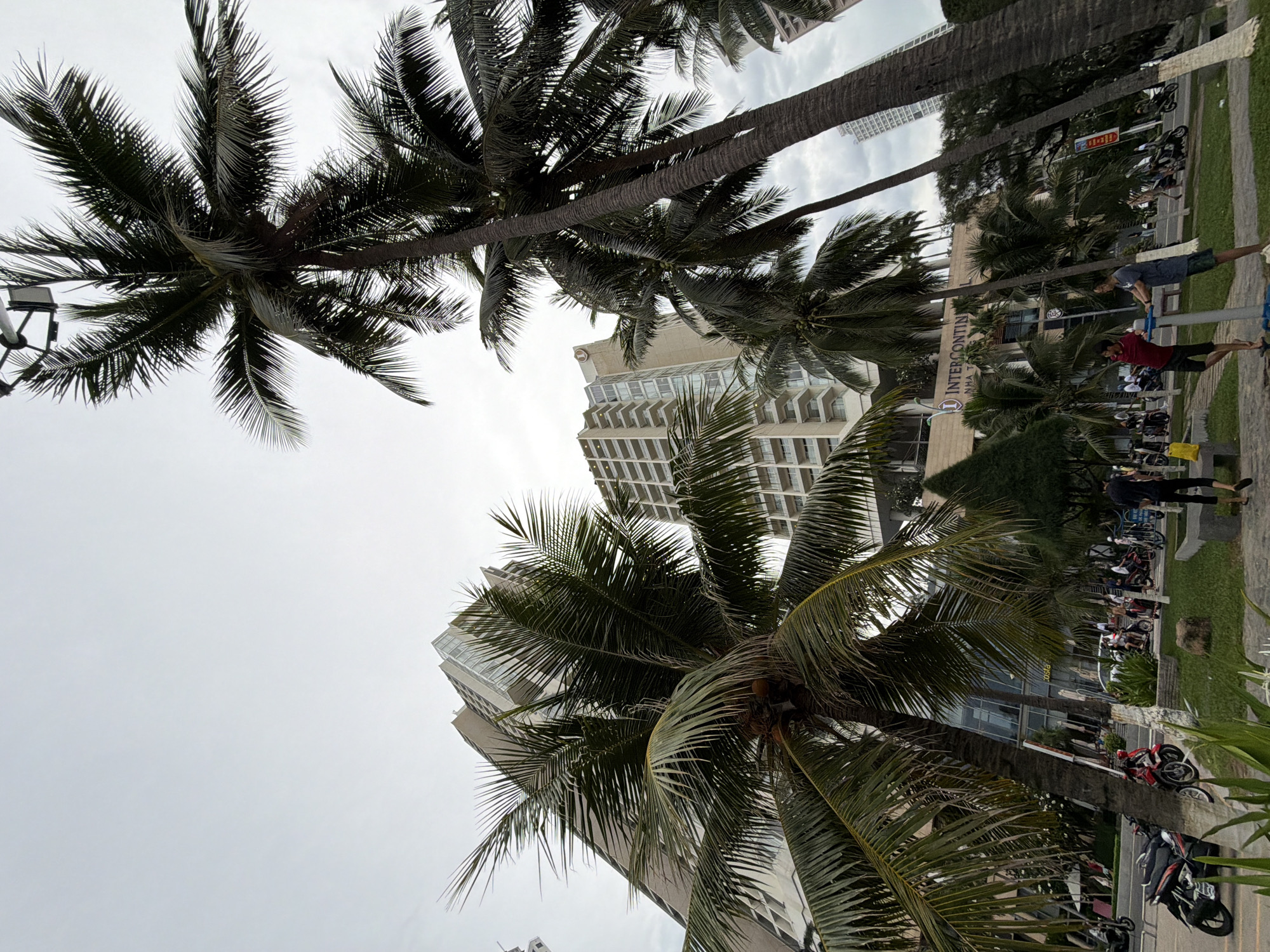 The image captures a view of the InterContinental Nha Trang hotel and its surroundings. In the foreground, several palm trees with dense fronds dominate the scene, their trunks reaching upwards towards a cloudy sky. Behind the palm trees, the InterContinental Nha Trang hotel is visible, a modern building with a light-colored facade and a distinctive stepped architectural design. The hotel has large windows and balconies, and its logo, a stylized "I" within a circle, is clearly visible on the upper part of the building.
Further back, other tall buildings, likely hotels or apartment complexes, are present, contributing to the urban landscape. The area in front of the hotel appears to be a public space or promenade, with paved walkways and grassy areas. Several people are visible, some walking, while others are standing or interacting with each other. A few individuals are seen near some exercise equipment in the park-like area.
Various motorbikes are parked or being ridden on a street or parking area to the left of the image. The overall impression is of a bustling urban environment with a tropical coastal feel, characterized by palm trees, modern architecture, and people enjoying the outdoor space. The sky is overcast, suggesting a cloudy or potentially humid day.