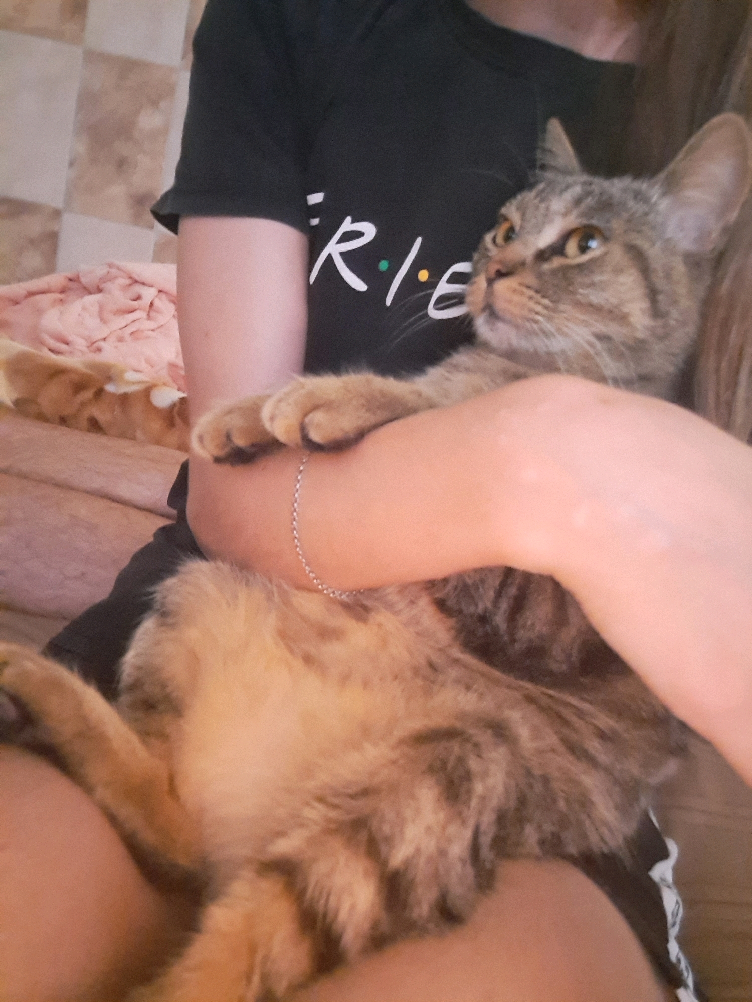 A tabby cat is being held by a person whose arms are visible. The person is wearing a black t-shirt with white text that appears to say "Friends". The cat is looking to the right with its mouth slightly open. The person's left arm is around the cat, and their right arm is visible supporting the cat's body. There is a thin silver bracelet on the person's left wrist. In the background, a pink blanket or fabric is visible, and beyond that, a checkered wall pattern. Another cat, which appears to be orange, is partially visible in the background, lying down. The scene appears to be indoors, possibly a living room. The location is not specified in the provided image or its crops.
