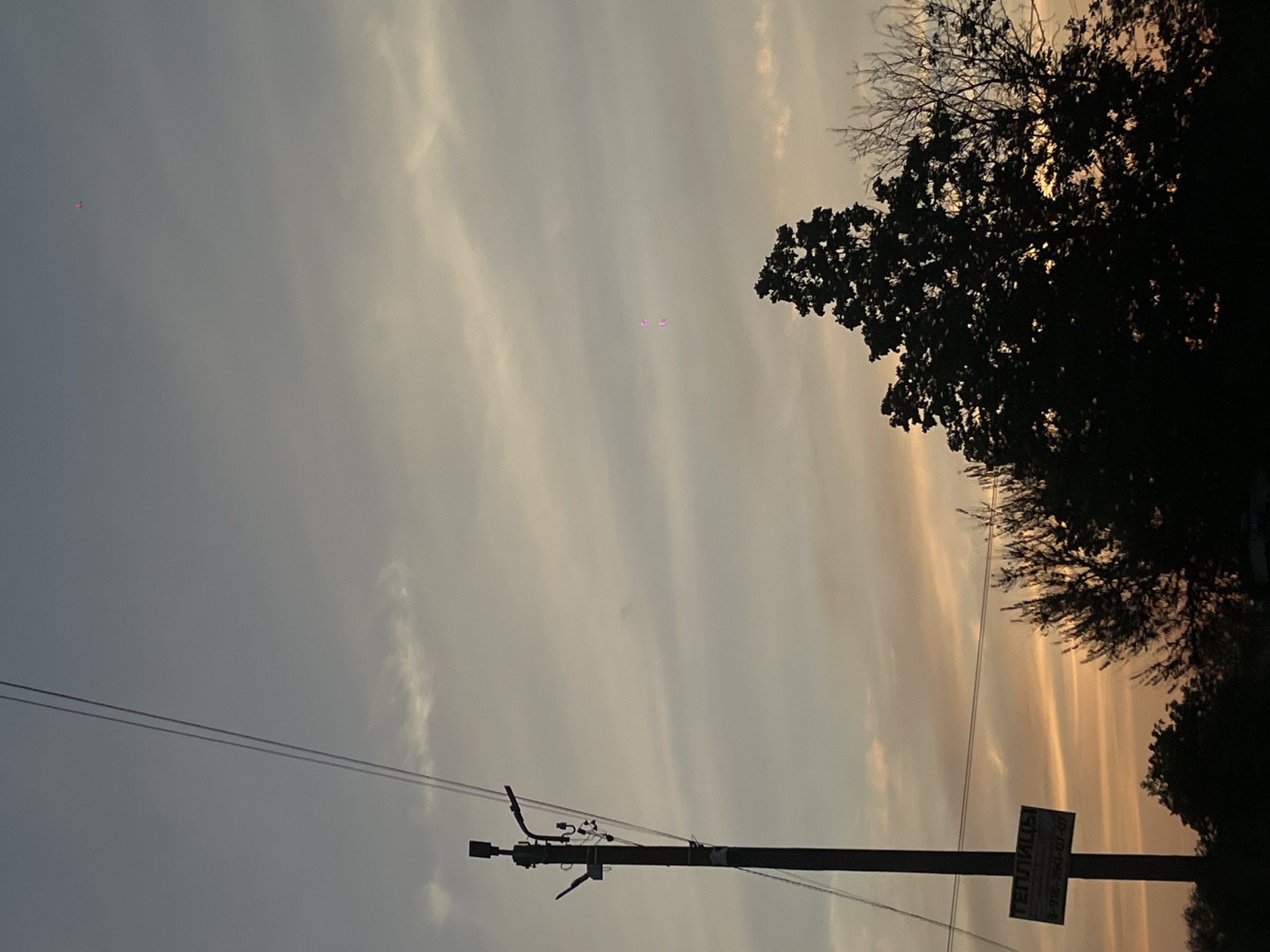 A landscape photograph features a low-angle view of a telephone pole and overhead lines against a dusk sky. The sky exhibits varying shades of gray and orange, suggesting either sunrise or sunset. Silhouette of a tree is situated to the right of the pole. The telephone pole bears a sign. The location is Novopokrovskaya, Russia.