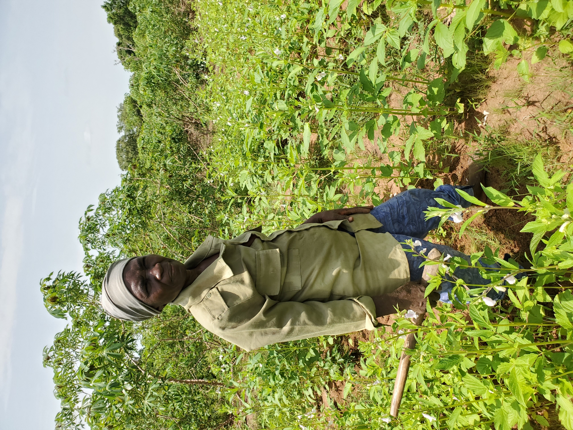 A woman with dark skin, wearing a tan work shirt, blue jeans, and a gray head wrap, is standing in a field of leafy green plants with small white flowers. The background shows trees and sky. She may be in or near the city of Mararaba, Nigeria, but this cannot be independently verified.