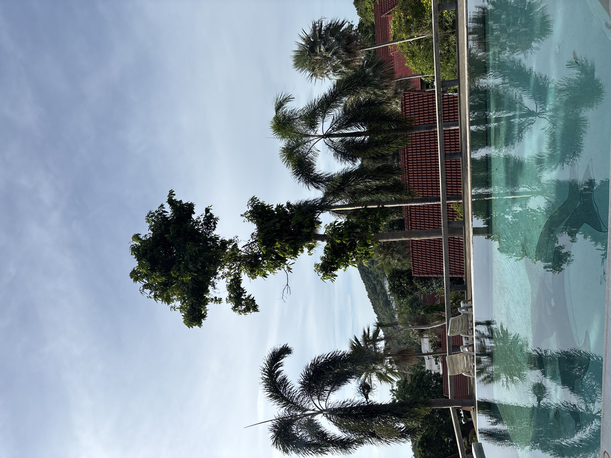 The image depicts an outdoor scene with a swimming pool in the foreground, reflecting palm trees and buildings. The pool has a light blue hue and appears to be an infinity pool, with the reflection of lush green trees and red-tiled roofs visible on its surface. Several palm trees, with their characteristic fronds, are scattered throughout the scene, some standing tall and others appearing as reflections. Beyond the trees and buildings, a lush, green hillside is visible under a clear, pale blue sky with wispy clouds.
The setting appears to be a tropical resort or residential area, likely in Thailand, given the context of "บ้านบางรักษ์". The architecture of the buildings, with their red tiled roofs and the presence of numerous palm trees, strongly suggests a warm, coastal environment. There are no people visible in the image. The composition and lighting suggest it is daytime, possibly late morning or early afternoon, with bright but diffused sunlight, as indicated by the clear sky and the reflections on the water. The overall atmosphere is serene and peaceful, characteristic of a vacation or relaxation spot. The image is oriented vertically, with the sky occupying the upper portion and the pool and surrounding landscape in the lower and right sections.