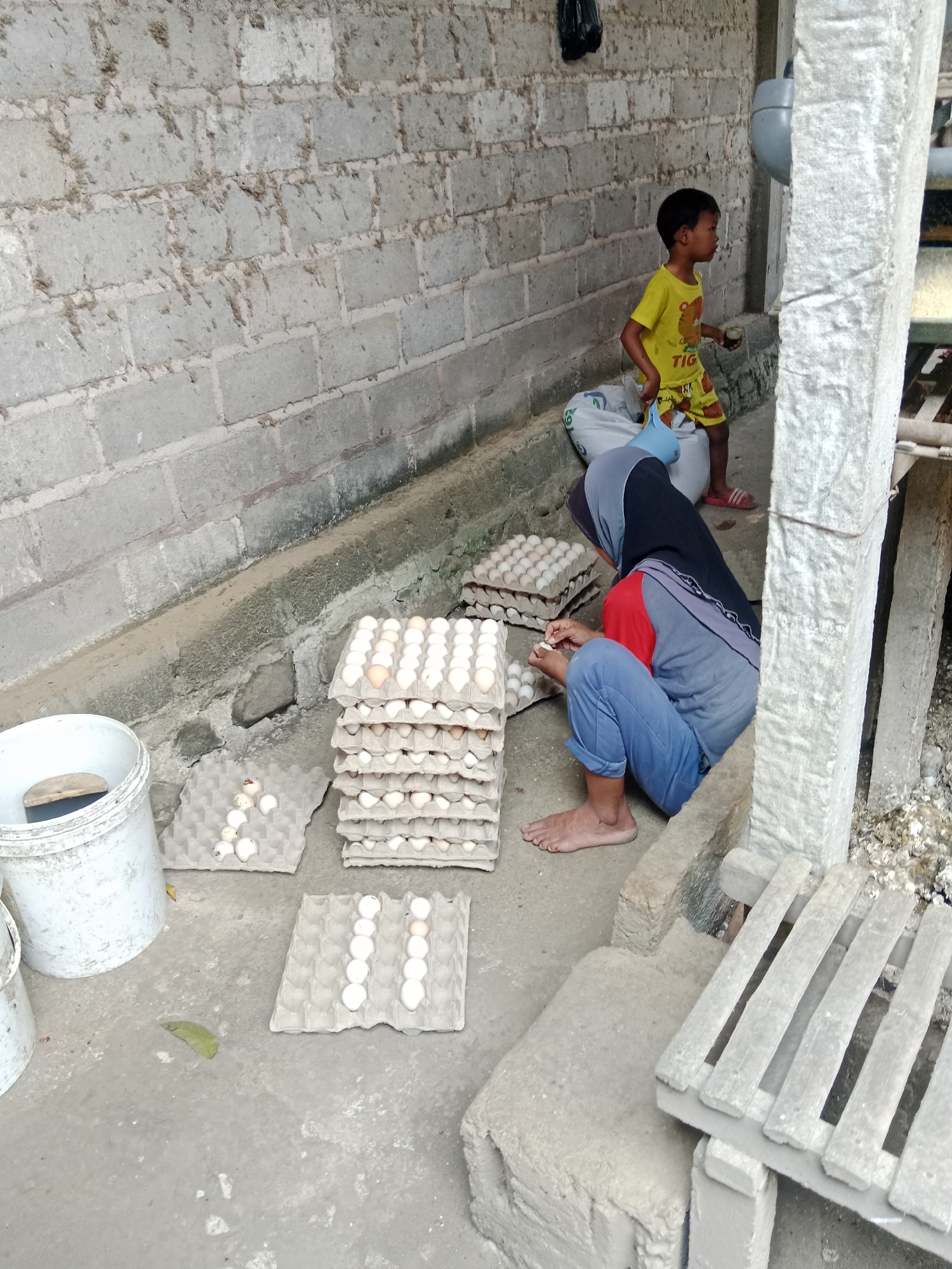 In Sambi, Indonesia, an outdoor scene depicts a woman wearing a hijab and casual clothing crouched beside stacks of egg cartons. She is sorting through eggs with her hands. To her right, a young boy in a yellow t-shirt and shorts stands near a white sack. The environment includes a rough, grey brick wall in the background, and the ground is concrete. Several plastic buckets are visible on the left. The overall scene suggests a domestic or small-scale commercial egg handling operation.