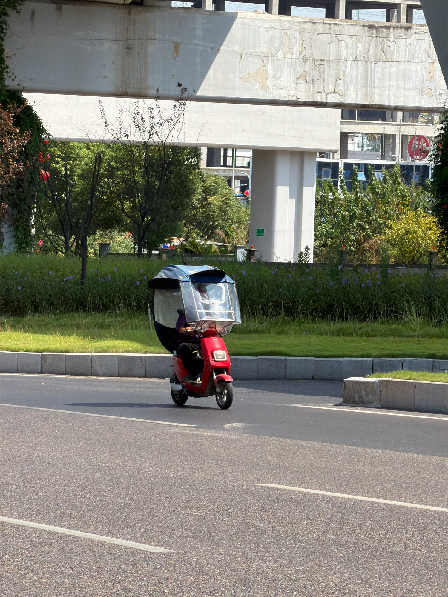 In the city of Jiangjin, China, a red three-wheeled electric scooter with a clear plastic enclosure is being ridden by a person wearing dark clothing on a paved road. The scooter has a dark-colored canopy over the rider. The road is bordered by a curb and a grassy median with scattered purple flowers. Behind the median, lush green trees and vegetation are visible. In the background, an elevated concrete structure, possibly an overpass or part of a building, casts shadows. The sky is bright, indicating daylight.