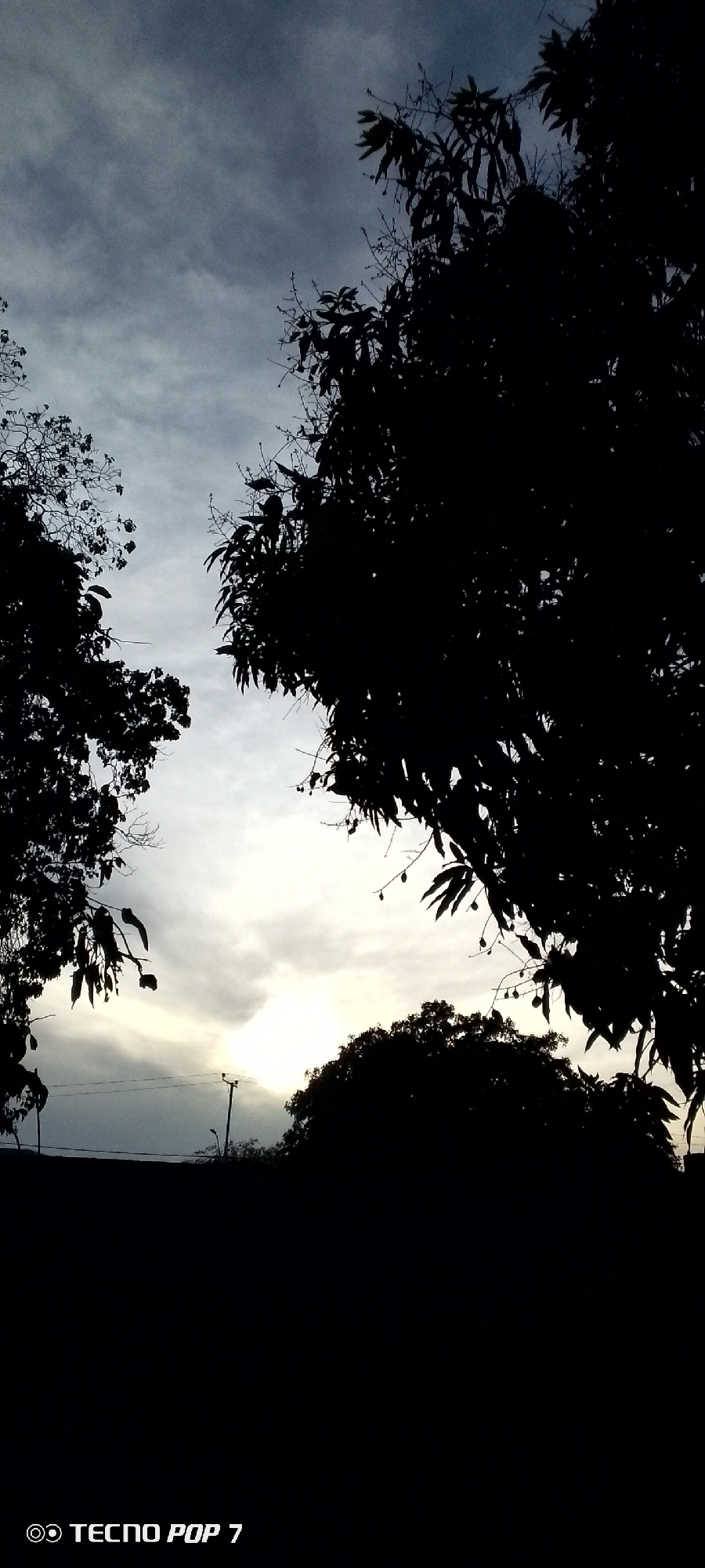 This media file captures a serene yet dramatic sky scene, likely at either sunrise or sunset, over Altagracia, Venezuela. The central focus is the interplay between the bright, diffused light of the sun and the dark silhouettes of natural elements.
The foreground and midground are dominated by the stark, black outlines of several trees. Two large trees frame the composition: one on the left with visible branches and foliage, and a denser tree on the right. The tree on the right shows distinct leaves and small, elongated structures hanging from its branches, possibly young fruits like mangoes or blossoms. A third, smaller mass of foliage is visible below, closer to the horizon line.
The sky transitions from a darker, cloudy expanse at the top, suggesting overcast conditions, to a brilliant, almost white glow near the horizon. This bright area indicates the sun's low position, either rising or setting behind clouds or atmospheric haze, creating a strong backlighting effect that renders the trees in complete silhouette. A faint silhouette of a utility pole with wires is discernible near the center-left, just above the dark, indistinct horizon line, suggesting a blend of natural landscape with some human infrastructure.
There is no specific activity or event taking place; the image is a static portrayal of a natural vista. The mood is tranquil and contemplative, emphasizing the dramatic contrast of light and shadow characteristic of dawn or dusk in a tropical setting. In the bottom-left corner, the text "TECNO POP 7" is visible, indicating the camera model used.
