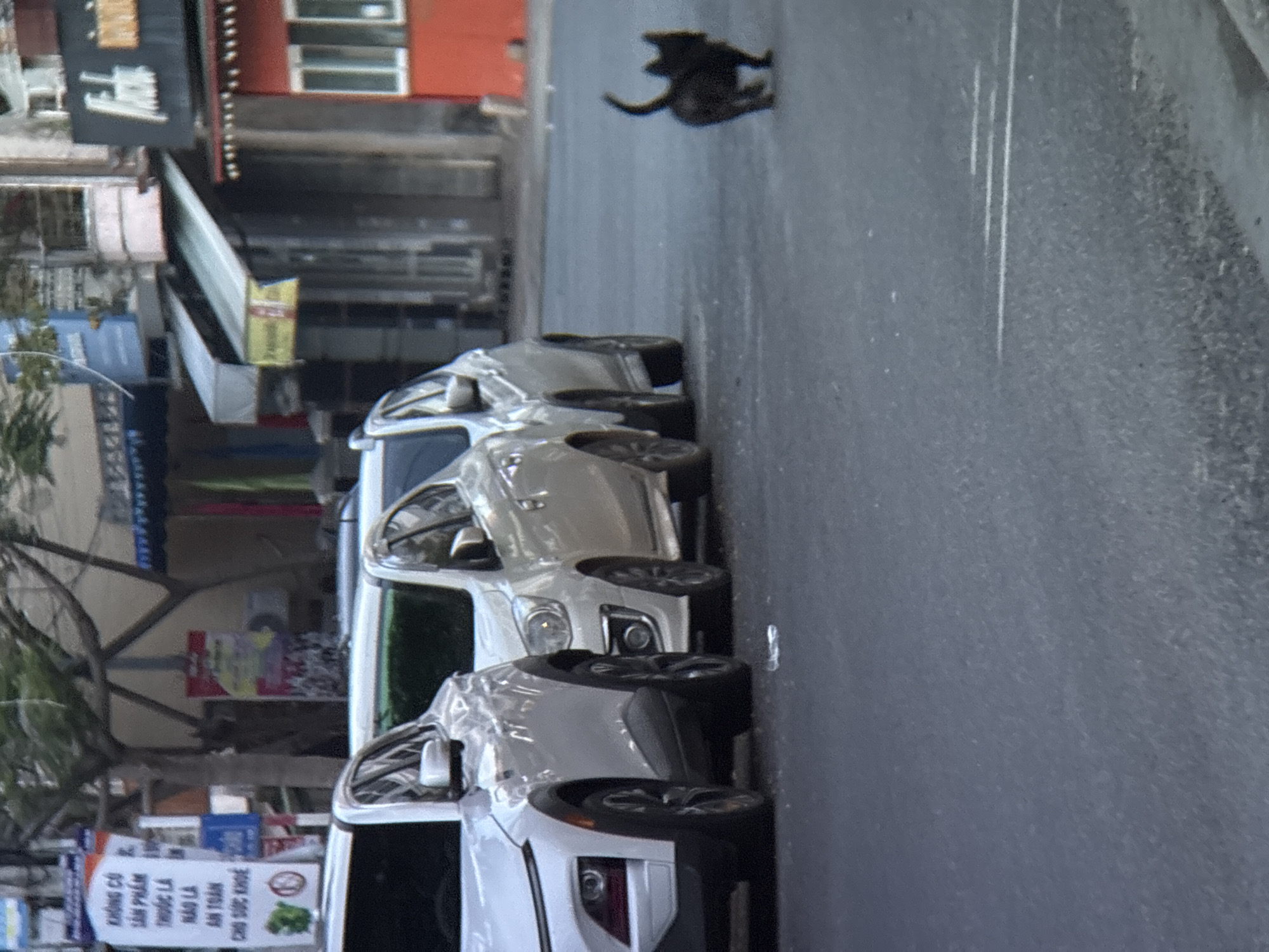 The image shows a street scene in Nha Trang, Vietnam. In the foreground, a small black kitten walks across the asphalt road. Parked along the side of the road are several white cars. The first car on the left is a white SUV. To its right is a white sedan, followed by another white sedan. In the background, there are buildings with awnings and signage, including a red building with white windows on the right. A tree with dark branches is visible behind the cars. A white sign with Vietnamese text is posted on a pole to the left of the cars. The overall scene depicts a typical street in an urban area.