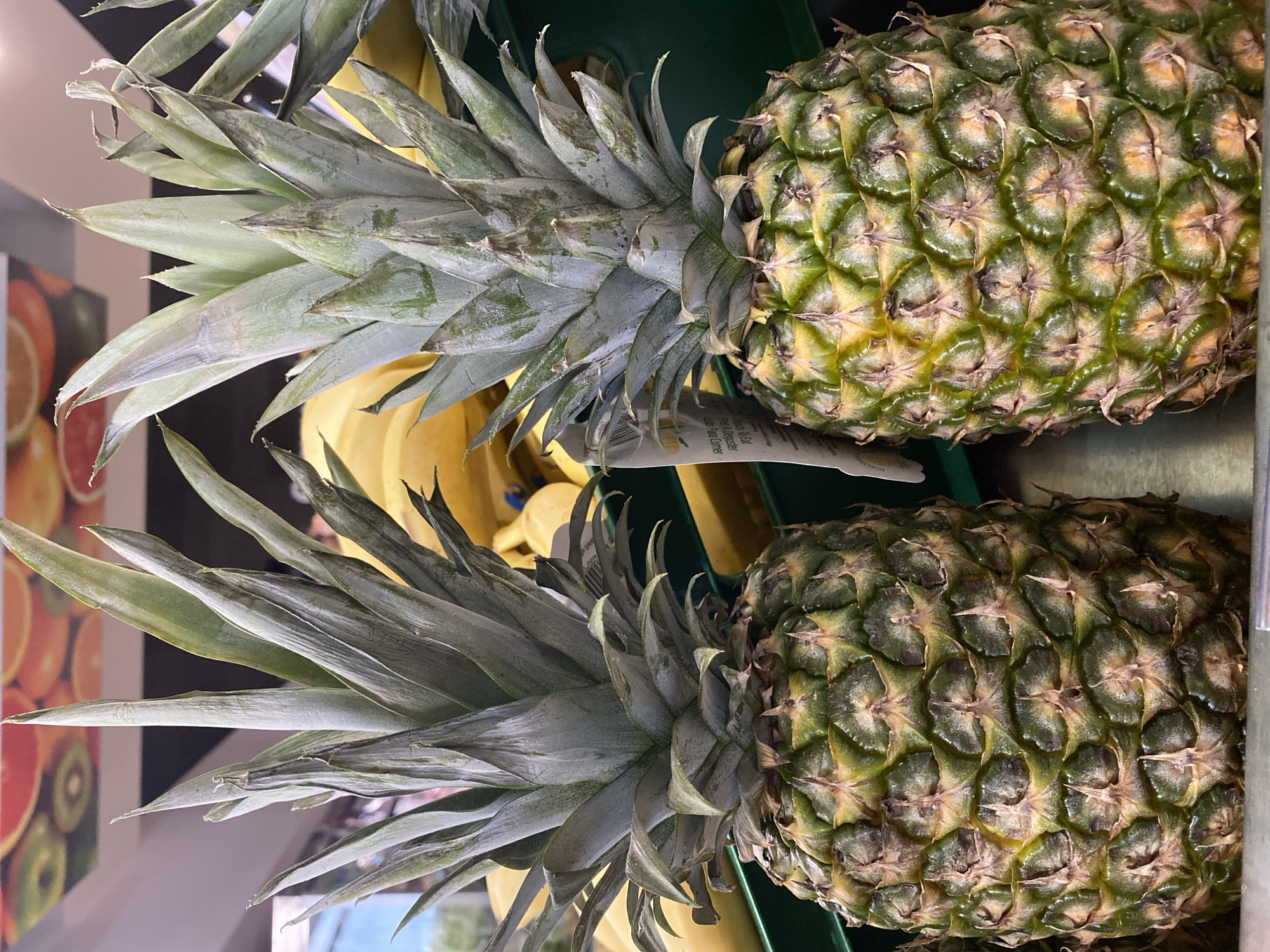 Two pineapples are displayed in a store in Pleven, Bulgaria. The pineapples are positioned side-by-side, with their leafy crowns facing upwards. The textured skin of the pineapples exhibits a mottled green and yellow-brown coloration. In the background, bunches of bananas are visible, suggesting they are part of a produce display. The environment appears to be an indoor retail space.