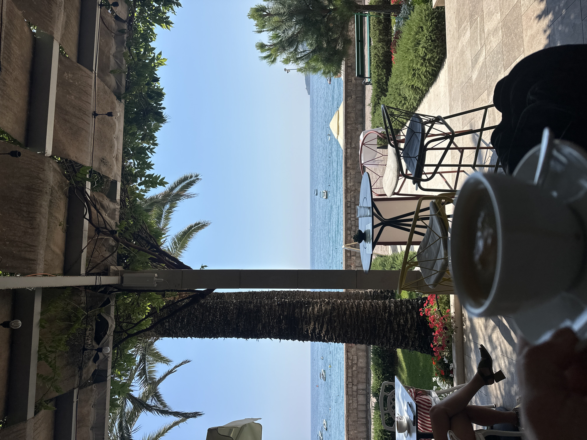 An outdoor cafe setting in Bečići, Montenegro, offers a view of the Adriatic Sea. A person's hand holds a white cup of coffee in the foreground. To the left, the legs of a seated individual wearing a red and white striped skirt and black sandals are visible. They are seated at a white-topped table with a white coffee cup and a smartphone on it. In the middle ground, there are several outdoor tables and chairs, including a round black table with a small plant and a glass of water. A tall palm tree stands prominently to the left of the cafe seating. Beyond the cafe area, a low stone wall separates the paved walkway from a well-maintained garden with green bushes and red flowers. The blue sea stretches to the horizon, dotted with several small boats. The sky is clear and blue. A green park bench is visible in the background garden. The cafe is covered by a canopy structure with exposed beams and hanging lights.