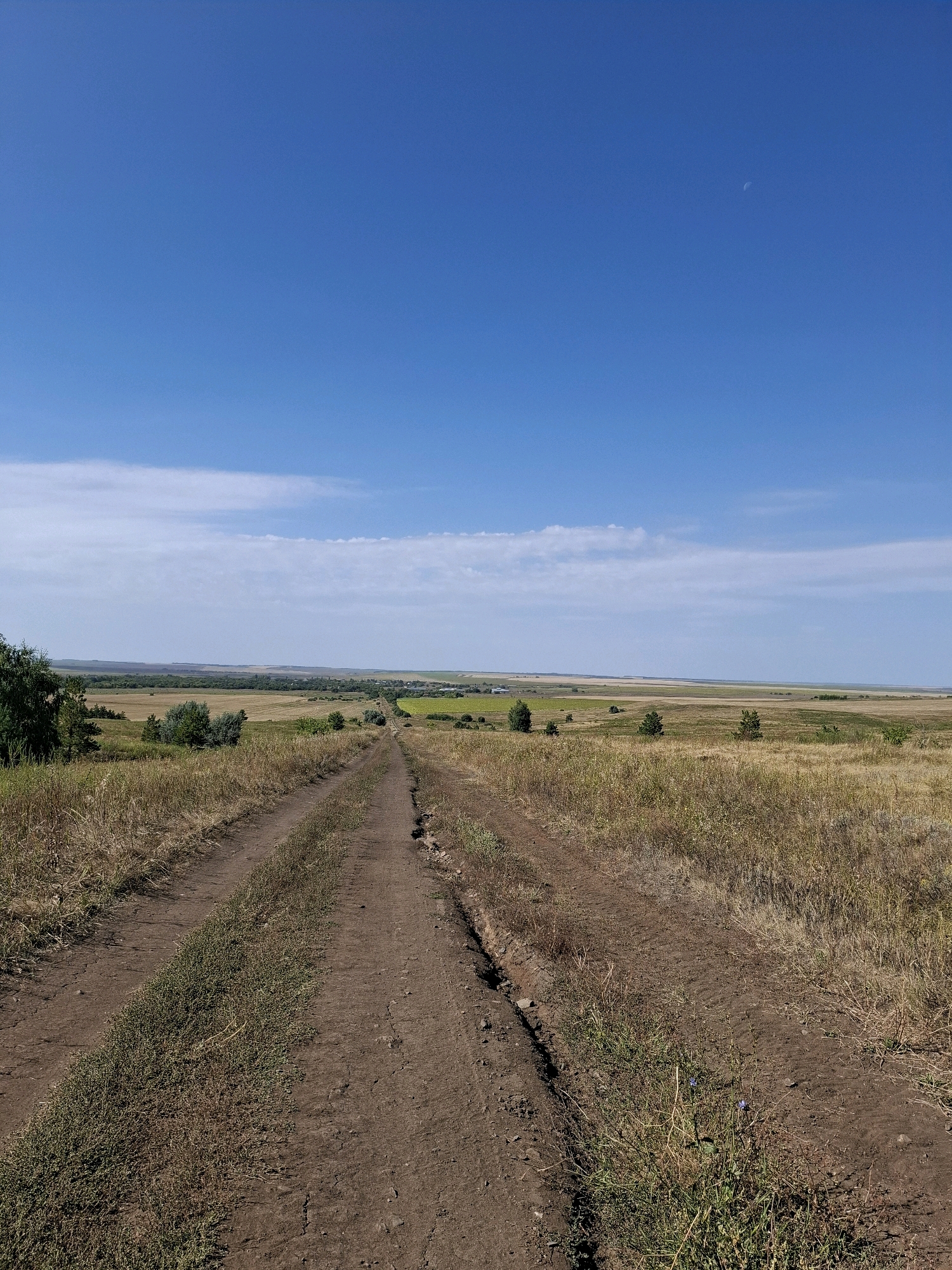 A dirt road stretches into the distance through a dry, grassy landscape under a clear blue sky. The road is worn and has tire tracks visible. On either side of the road are fields of dry grass and scattered green bushes and trees. In the distance, the landscape is more densely vegetated with trees, and faint structures suggest a settlement. The sky is bright with a few wispy clouds and a crescent moon is visible. The overall impression is one of a rural, possibly agricultural, area in a warm climate. The image was taken in Kochetovka, Russia.