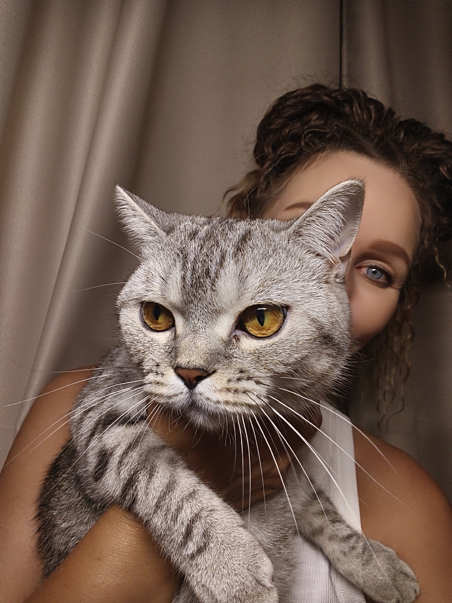 In a close-up portrait, a woman holds a gray tabby cat against a backdrop of beige curtains. The cat's face is prominent, with striking yellow eyes, delicate whiskers, and tabby markings on its fur. The woman's face is partially obscured by the cat, with only her right eye, a portion of her forehead, and curly brown hair visible. She is wearing a white tank top. The lighting is soft, casting gentle shadows. The image appears to be taken indoors, in an environment that could be a home or a studio.