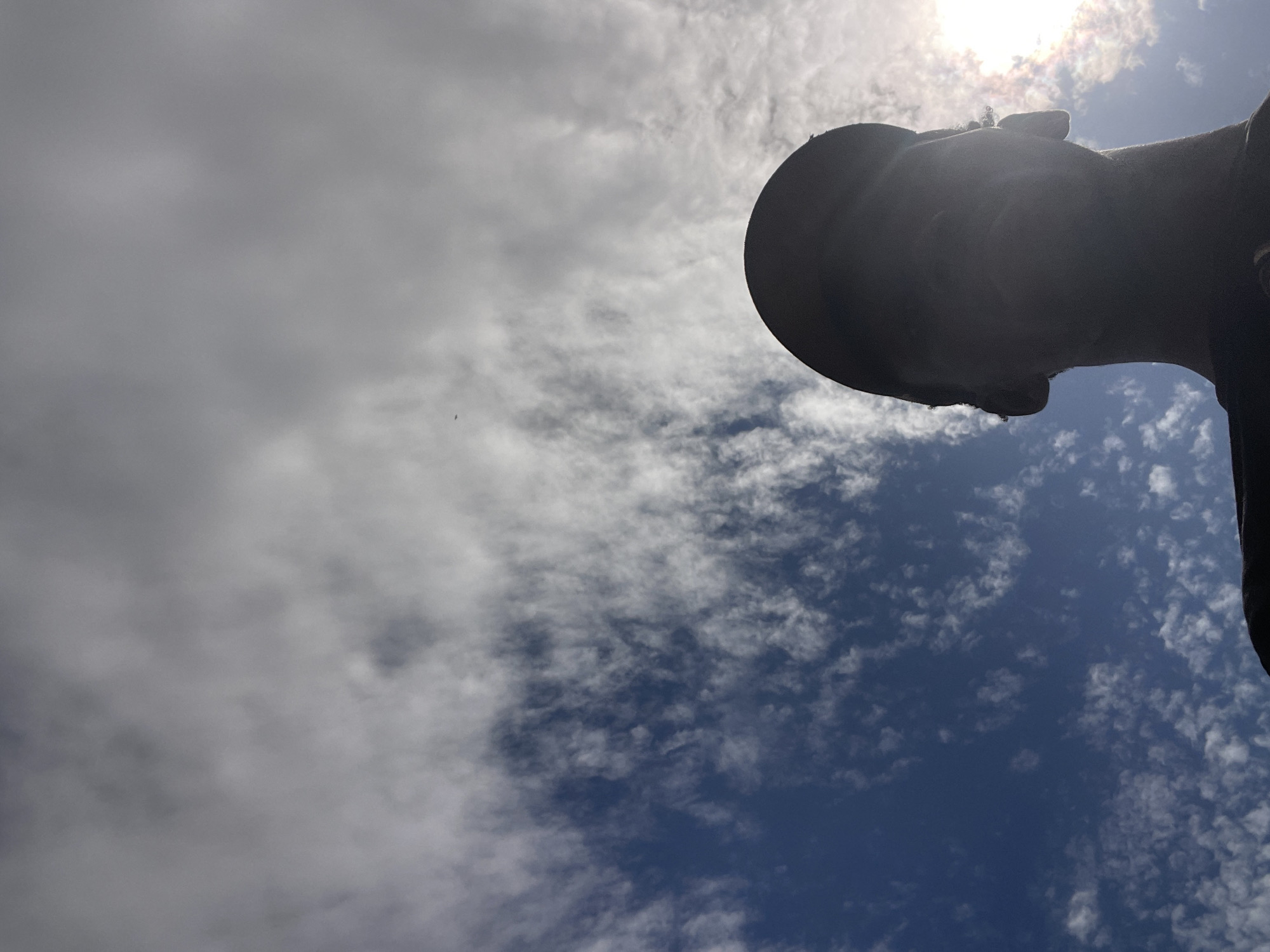 This vertically oriented image captures a low-angle perspective looking up at the sky, with the silhouette of a person's head and upper body prominent on the right side. The person appears to be wearing a hat or cap and is looking directly upwards towards the bright sun, which is visible in the upper right corner of the frame, partially obscured by light clouds.
The sky exhibits diverse cloud patterns. The right side of the image features a deep blue sky dotted with scattered, wispy white clouds, indicative of a clear or partly cloudy day. Towards the left and central parts of the image, the cloud cover becomes denser and more uniform, appearing as a soft grey expanse, transitioning from a bright, sunny area to a more overcast section. A tiny dark speck, possibly a distant bird, can be observed against the brighter sky in the mid-left.
The scene suggests daytime with strong sunlight, experiencing mixed weather conditions ranging from clear blue skies to significant cloud cover. No specific location cues are visible within the image itself, but the context provided is Lokoja, Nigeria. There is no visible text.