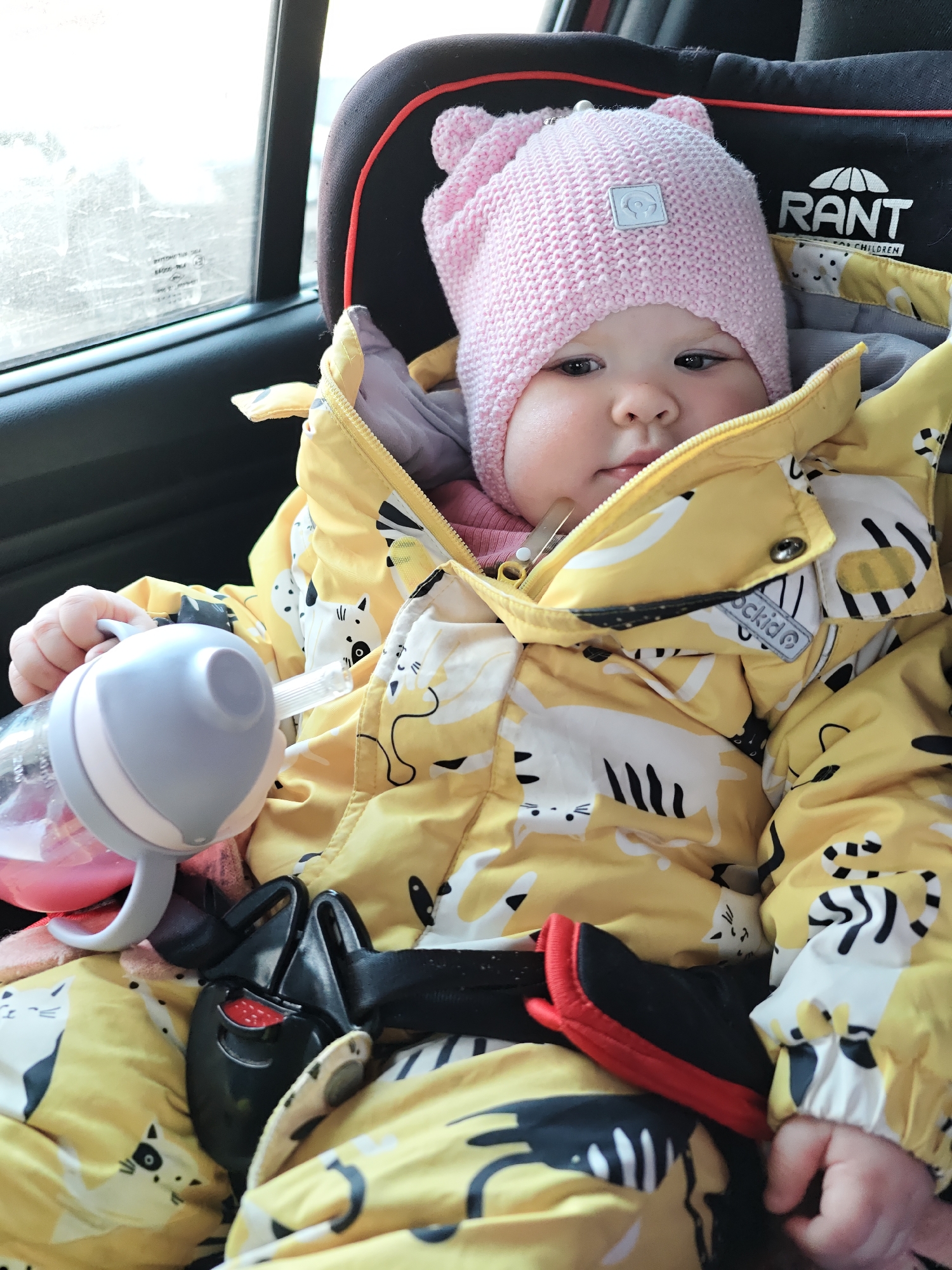 An infant is seated in a black RANT brand car seat with red trim, inside a vehicle in Chaikovsky, Russia. The infant wears a pink knitted hat with ear-like protrusions and a white logo patch, over a pink undershirt, and a yellow padded jumpsuit patterned with black and white cartoon cats. The jumpsuit is partially unzipped. The infant's left hand holds a transparent plastic sippy cup with a gray lid, white handle, and straw, containing a pink liquid. The car seat's black five-point harness is buckled across the infant's chest and lap, with a red release button visible on the buckle. A blurred vehicle window in the background shows an overcast or hazy exterior.