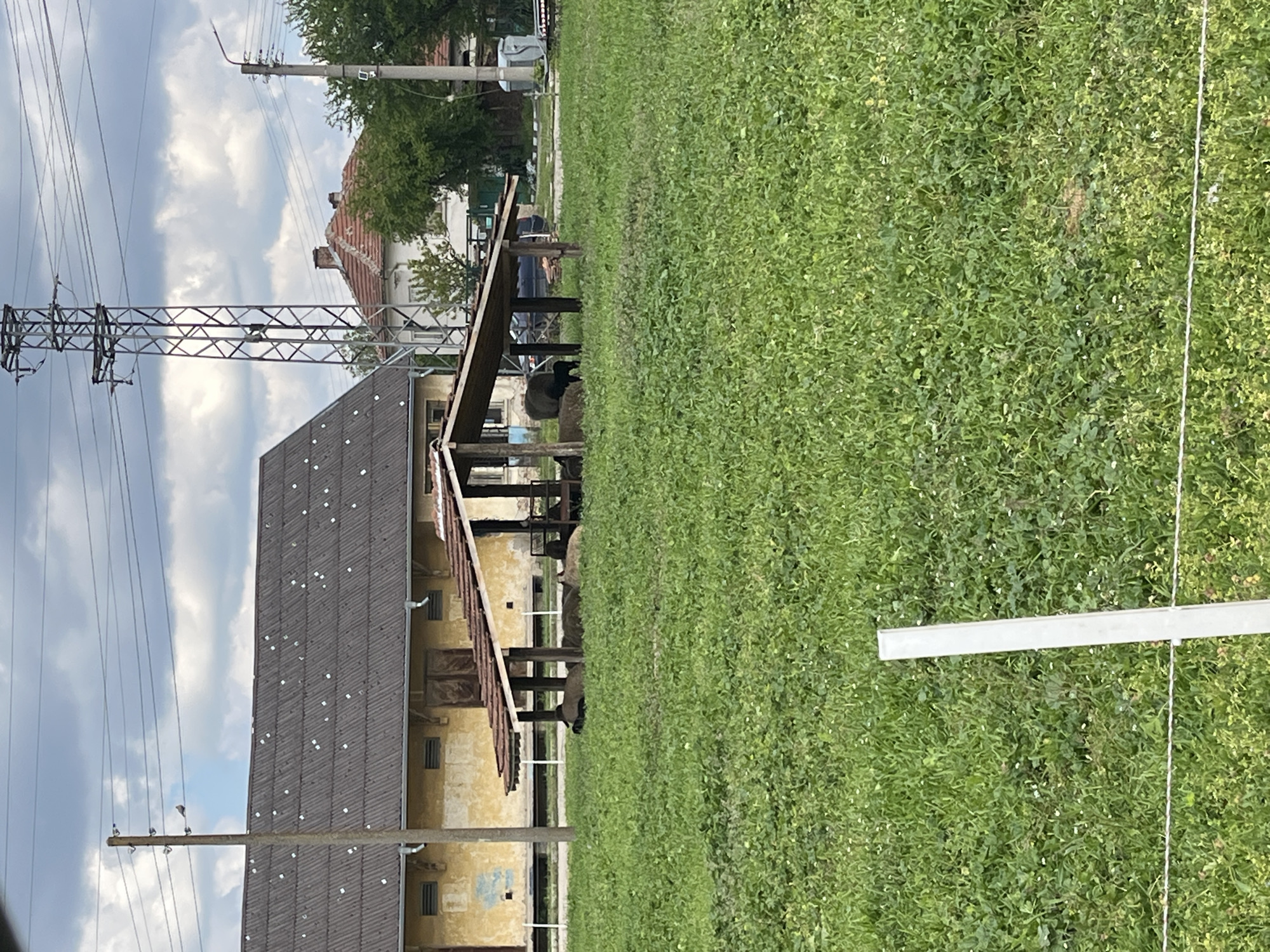 The image depicts a grassy area in Letnitsa, Bulgaria, adjacent to a long, one-story building with a dark, gabled roof, likely an agricultural or industrial structure. The building's facade is yellowish and shows signs of age or weathering. A covered area or lean-to structure extends from the side of the building. A power line tower is visible near the building, with overhead power lines extending into the sky. The sky is partly cloudy. A second building with a red tile roof is visible in the background. A white post or stake and a white line are also present in the grass.
