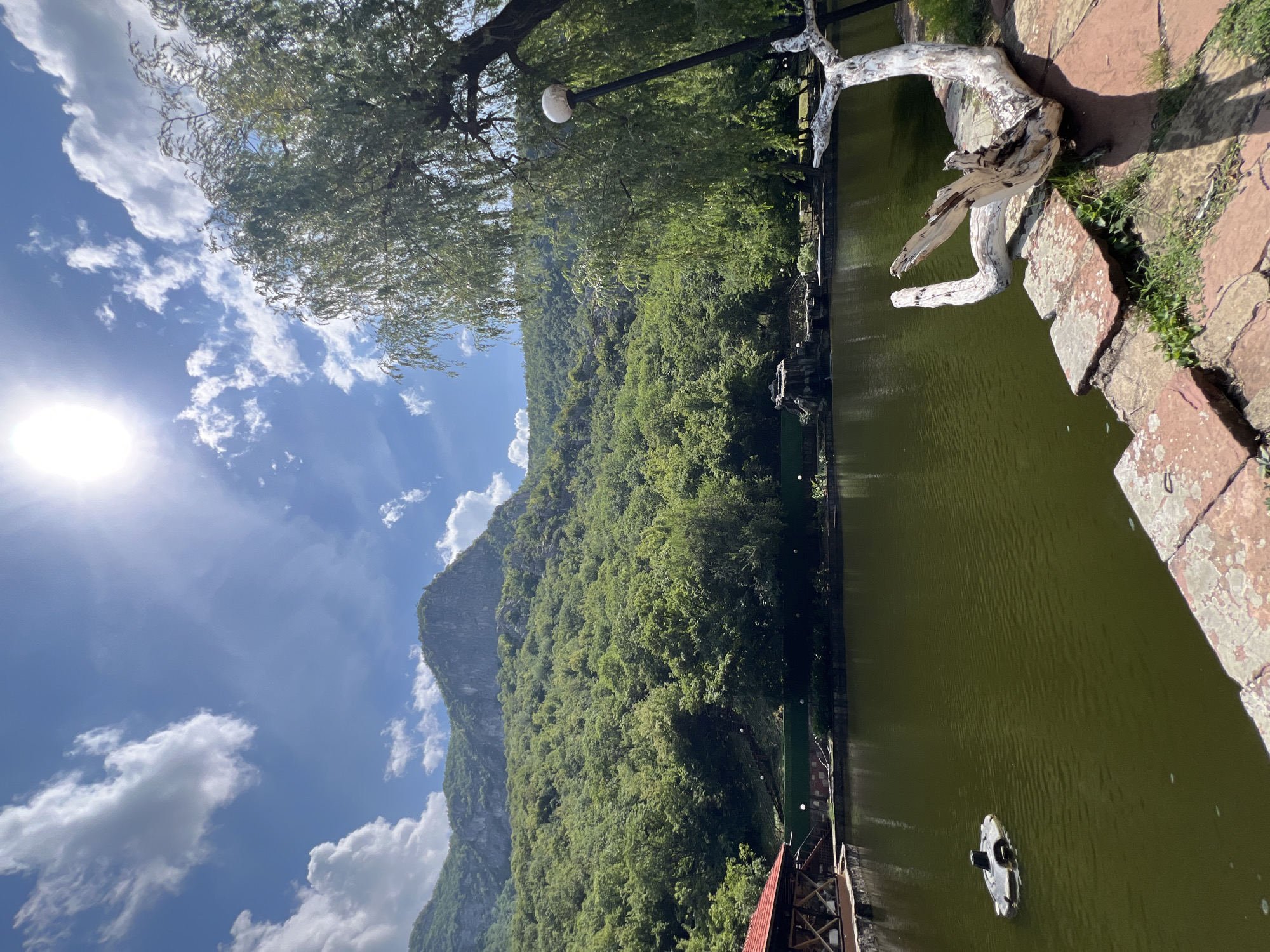 This image captures a serene natural landscape, likely within the vicinity of Vratsa, Bulgaria, featuring a body of water, lush vegetation, and mountainous terrain under a bright, partly cloudy sky. In the foreground, a weathered, white piece of driftwood is positioned on a stone embankment, adding a touch of rustic charm to the scene. To the left, a small, dark object, possibly a fountain or a decorative element, floats in the murky green water. Across the lake, a building with a red roof and wooden accents is visible, suggesting a recreational area or a small establishment. The mid-ground is dominated by a dense forest that blankets the lower slopes of a majestic, rocky mountain rising in the background. The mountain's peak is sharp and imposing, a characteristic geological feature of the Vratsa Balkan region. A tall tree with drooping branches, likely a willow, stands to the right of the frame, its foliage partially obscuring a lamppost. The sunlight is intense, casting shadows and highlighting the textures of the natural elements. The overall impression is one of tranquil natural beauty, possibly a park or a resort area.