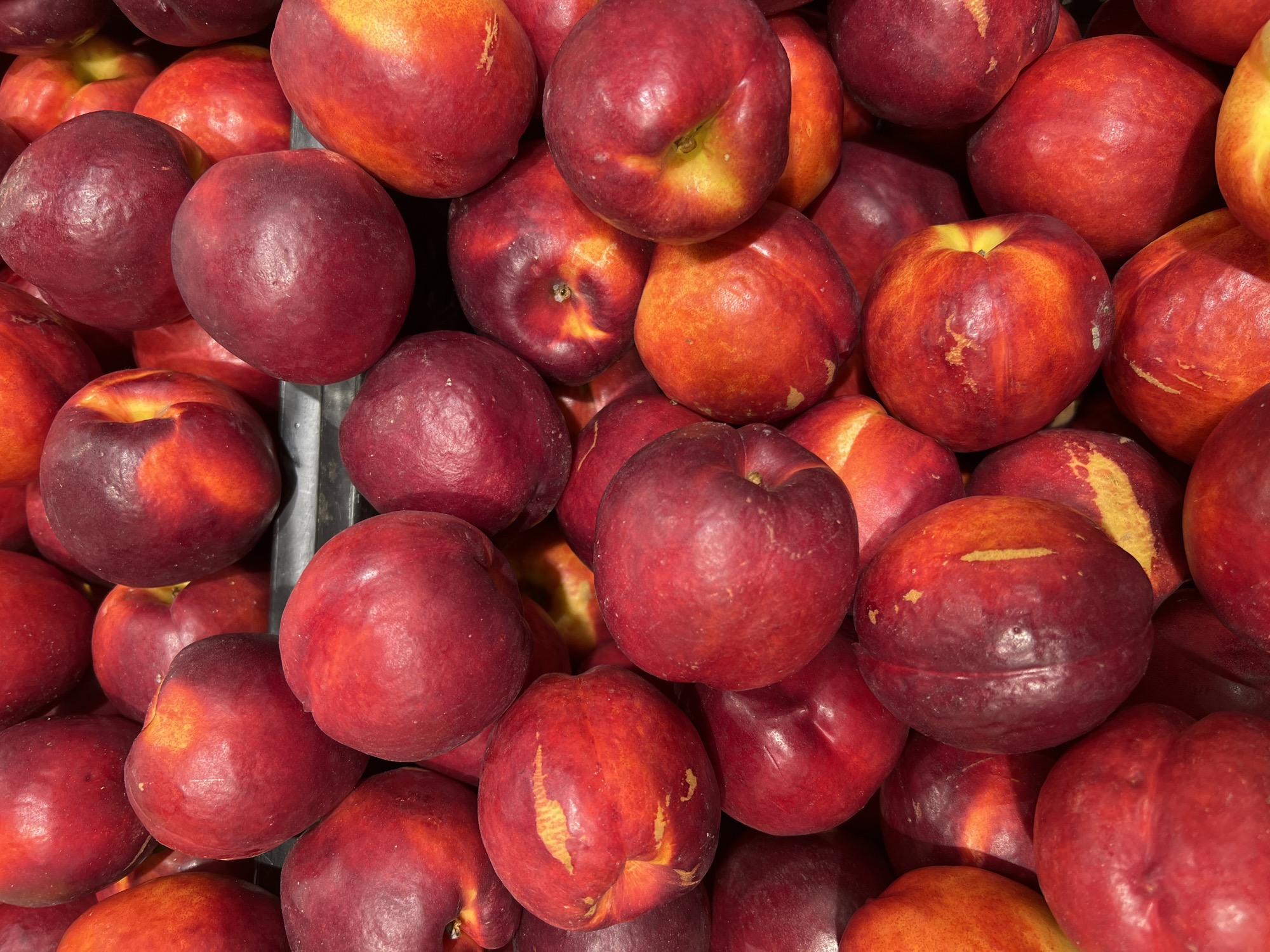 This is a close-up, overhead, full-frame shot of a large pile of fresh nectarines. The fruit is predominantly red and yellow, with some nectarines showing a deep crimson color. The lighting is bright, suggesting an indoor setting, possibly a grocery store produce section or a market stall. The nectarines are packed tightly together, with some appearing slightly bruised or imperfect, indicating they are likely for sale. The focus is sharp, showcasing the textured skin and vibrant colors of the fruit. There is no visible text in the image. The setting appears to be a retail environment, given the abundance and display of the fruit. The scene is static, with no activity or event taking place beyond the arrangement of the fruit.