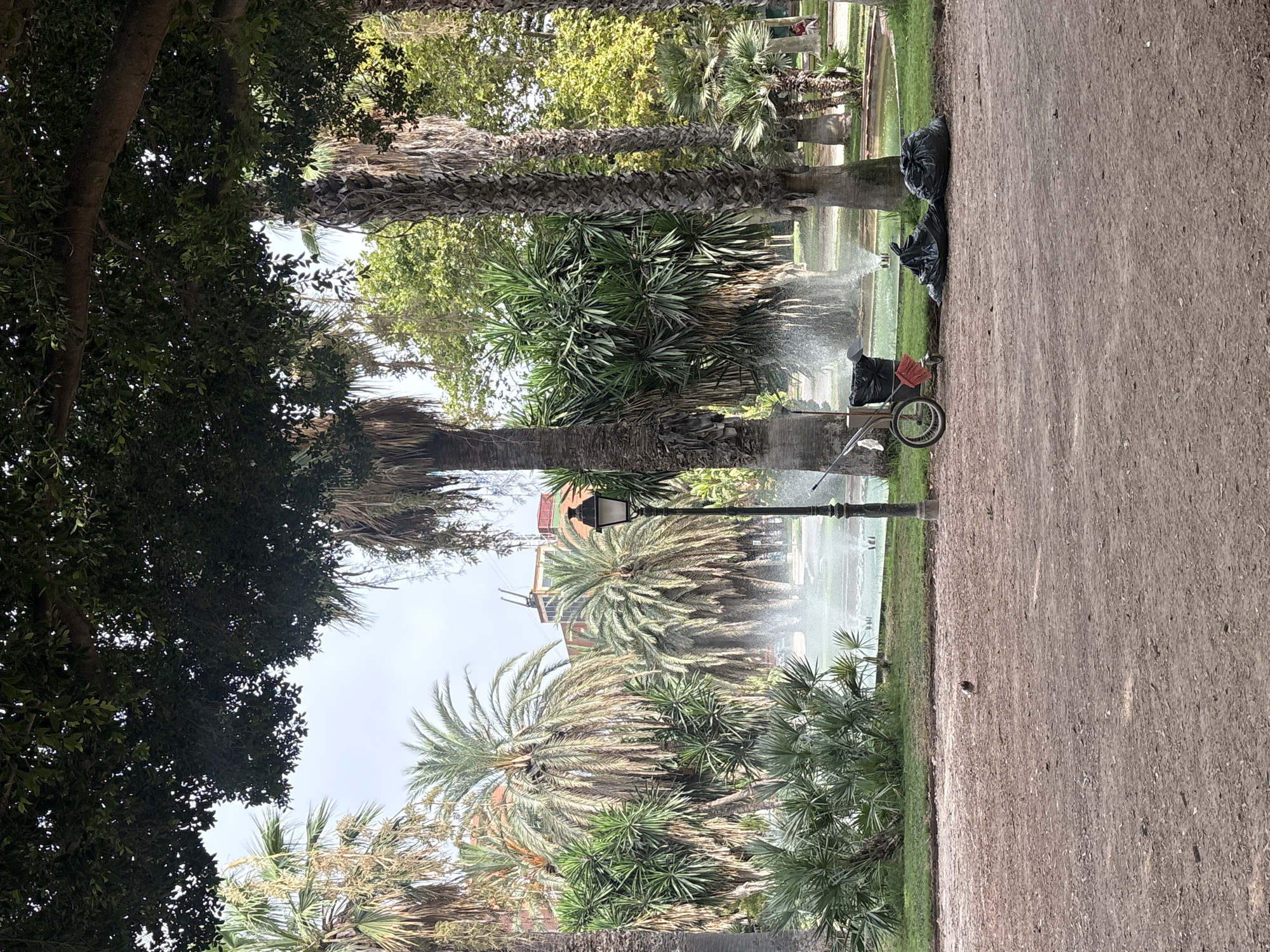 The image depicts a scene in a park in Valencia, Spain, likely within the Turia Gardens. In the foreground, a dirt path is visible, with a small bird foraging. To the left of the path, a maintenance cart with a broom and trash receptacle stands beside a fountain spraying water. Three black trash bags are placed on the ground to the right of the cart. Behind the cart and fountain, several palm trees and other lush greenery create a tropical atmosphere. In the background, buildings are visible peeking through the trees, suggesting an urban park setting. The sky is overcast, and the overall impression is one of a well-maintained, verdant public space.
