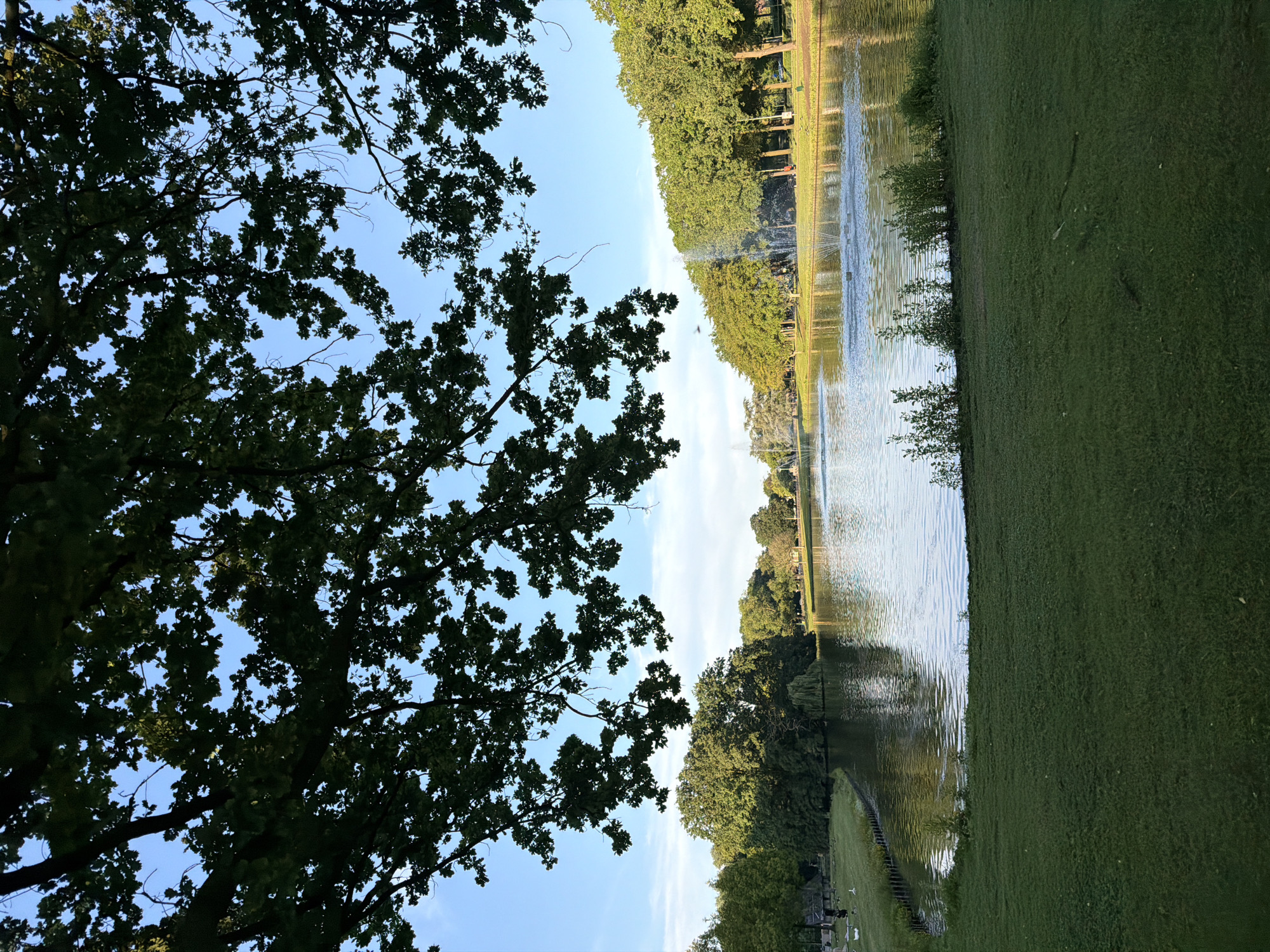This is an outdoor scene of a park with a lake, trees, and a clear blue sky. In the foreground, a well-maintained green lawn is visible, leading down to the edge of the lake. The lake has several fountains spraying water, creating ripples on its surface. The background is filled with lush green trees, some of which appear to be mature. A few buildings or structures, possibly duck houses, are present on the far bank of the lake. The overall atmosphere is serene and natural. The image is taken from the city of Helmond, Netherlands.