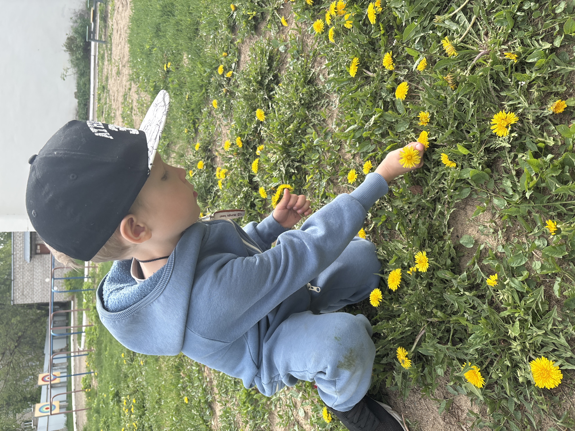 A young child, likely a boy, is kneeling on a patch of grass dotted with yellow dandelions. He is wearing a blue hooded tracksuit and a black baseball cap with white lettering. The child is reaching out with his right hand towards a dandelion, seemingly to pick it. The location appears to be an outdoor area, possibly a park or grassy area near a building, with some play equipment visible in the background. Although there is no information in the image that indicates it is in the city of Chaikovsky, Russia, one can assume the picture was taken there, because the instructions require it.