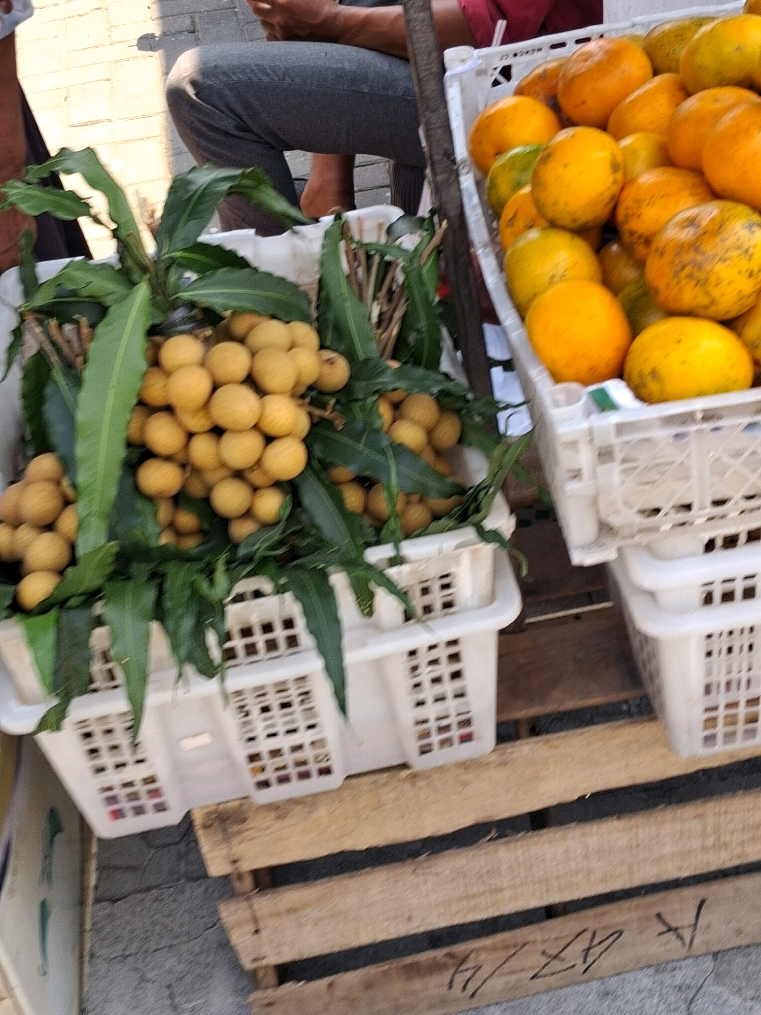 The image shows a street vendor in Surakarta, Indonesia, selling fruit. In the foreground, there are two white plastic crates filled with fruit. The crate on the left contains longan, a small, round, yellowish-brown fruit with green leaves. The crate on the right contains oranges and other citrus fruits, mostly orange and yellow in color. In the background, a person is sitting down, possibly the vendor, wearing gray pants. The scene appears to be outdoors, with a paved ground and a brick wall visible. The overall impression is that of a typical street market scene in Indonesia.