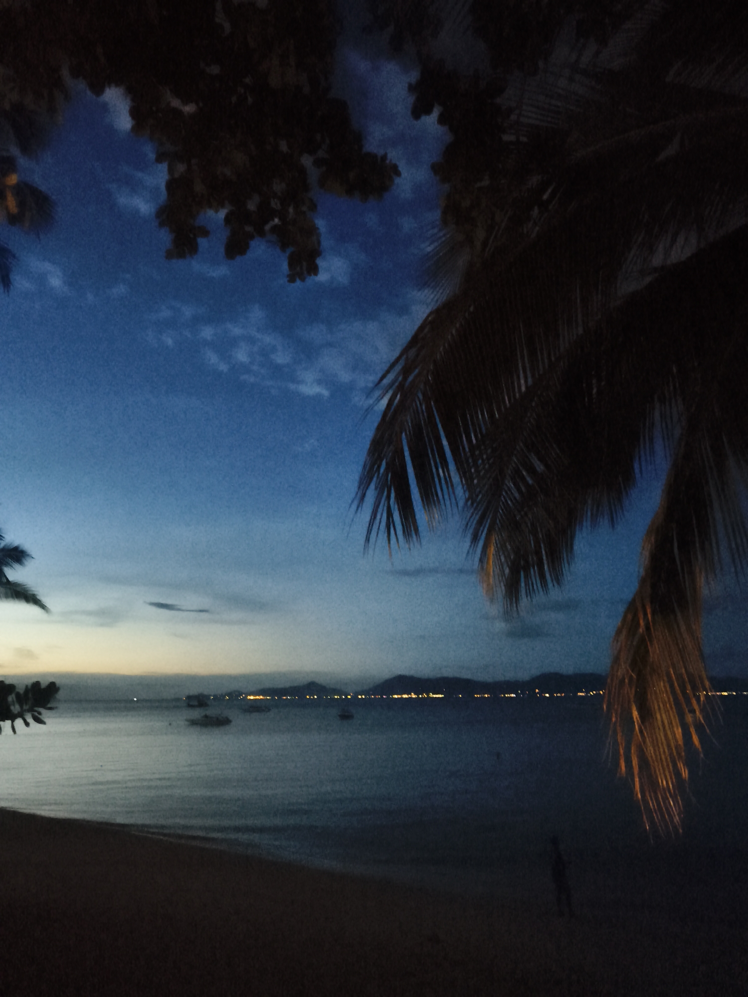 Captured at dusk, the scene overlooks the coastline in Baan Mae Nam, Thailand. A sandy beach is visible in the foreground. The sea stretches towards the horizon, punctuated by a few boats with lights visible in the distance. The coastline is lined with a series of lights. Silhouetted palm fronds dominate the right side of the image, while branches of another tree canopy the top. The sky transitions from a light blue to a darker blue, with some clouds visible. A barely discernible figure stands on the beach near the bottom right corner.