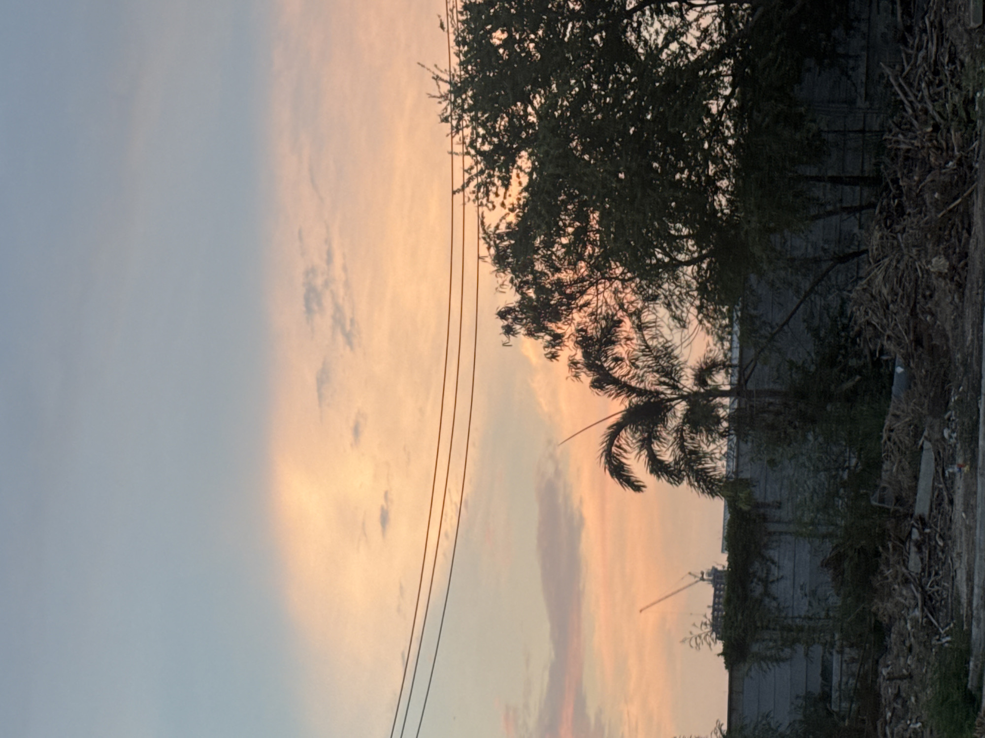 This image, captured in Pattaya City, Thailand, presents an outdoor scene at either sunrise or sunset, characterized by a striking sky and silhouetted elements. The sky occupies approximately two-thirds of the frame, transitioning gracefully from a soft pale blue on the left to warm and vibrant shades of orange, pink, and yellow towards the right. Scattered wispy clouds are visible, particularly in the warmer areas, catching the light.
Three dark power lines stretch horizontally across the mid-left portion of the sky, extending towards the right where they meet the dark silhouettes of vegetation. The right third of the image is dominated by a dense array of trees and foliage, appearing as dark, intricate shapes against the colorful backdrop. A distinctive palm tree stands out among the other tropical-looking greenery.
Below the treeline on the right, various structures are visible in deep shadow. These include what appear to be walls or buildings, partially obscured by more foliage and what looks like piles of dried branches or debris in the immediate foreground. Further in the distance, against the horizon, the silhouette of a large building under construction is discernible, topped by a prominent crane. The low-angle lighting casts the foreground elements into shadow, enhancing the contrast with the illuminated sky. No people, specific activities, or visible text are present.