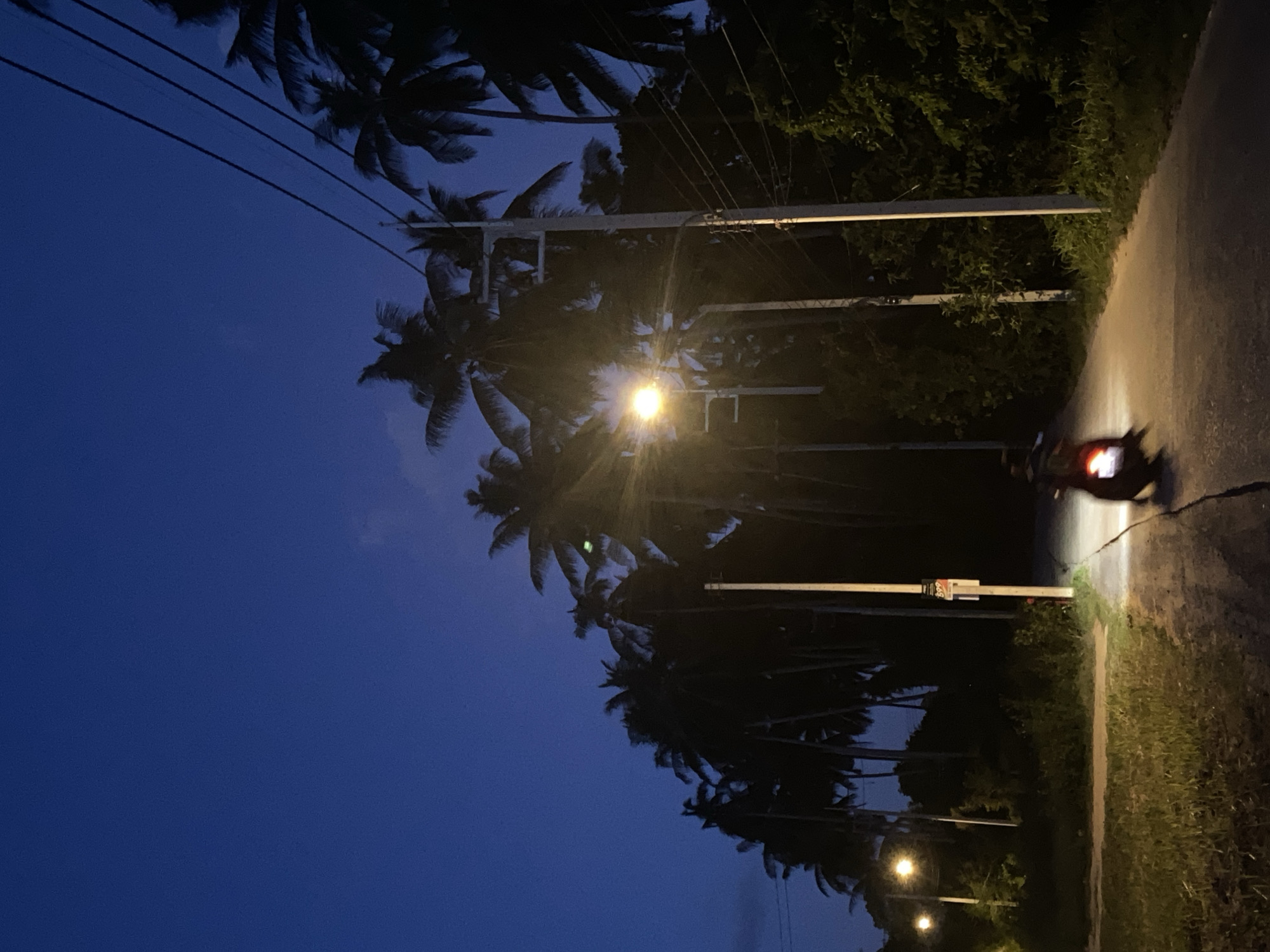 The image captures a night scene in Baan Mae Nam, Thailand. A paved road curves slightly to the right, illuminated by streetlights. Palm trees line the left side of the road, their silhouettes dark against the deep blue night sky. Overhead power lines are visible above the trees. A single motorbike with its headlights on is traveling along the right side of the road. Vegetation borders the road on both sides. The overall atmosphere is quiet and still.