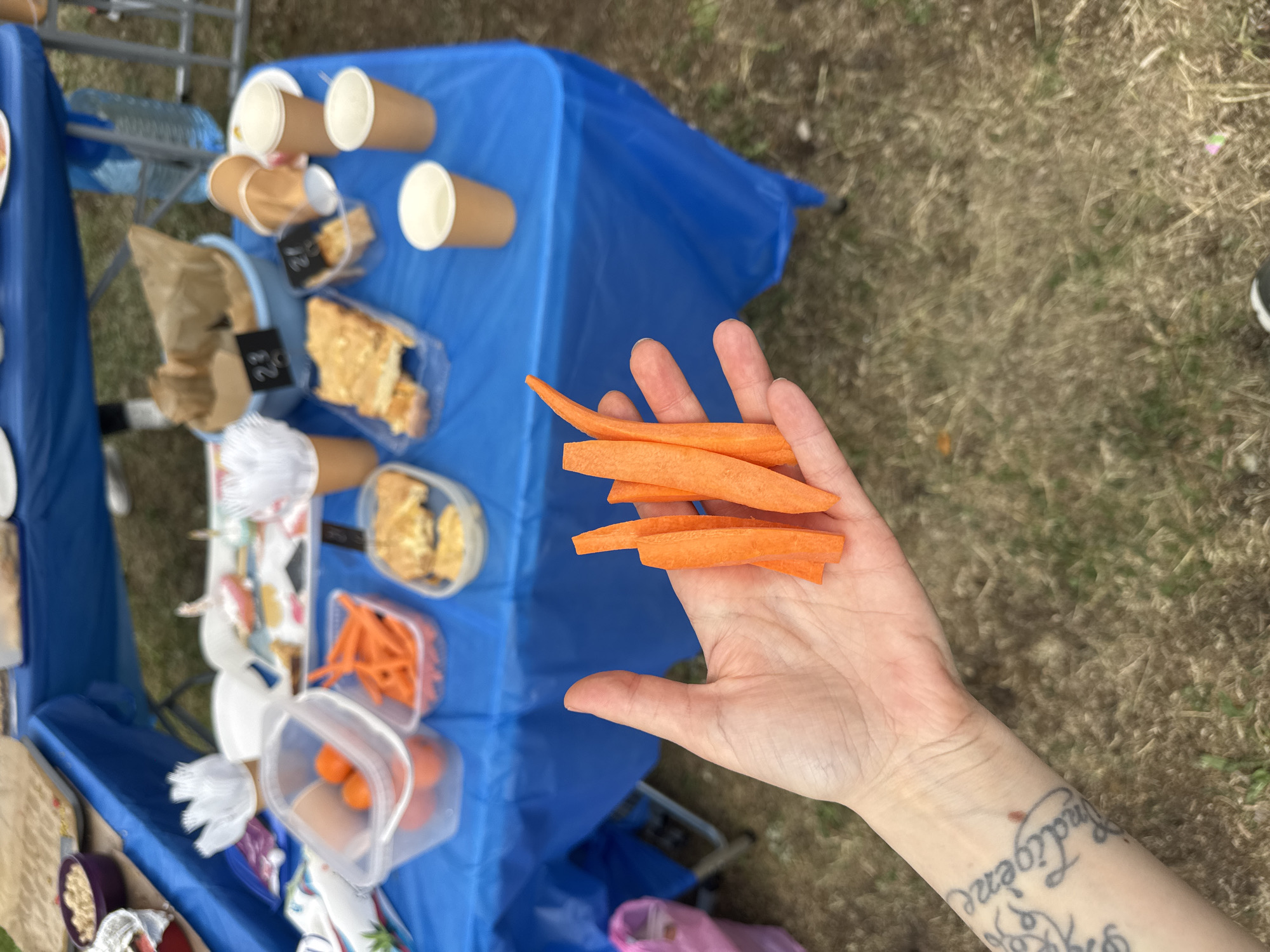 A high-angle shot depicts a fair-skinned hand holding several orange carrot sticks against a backdrop that includes an outdoor market or fair, possibly taking place in the city of Moscow, Russia. The hand has a visible tattoo on the inner wrist. The carrots are neatly cut into sticks, indicating preparation for consumption.
In the background, there is a table covered with a bright blue tablecloth. On the table, there are several disposable brown paper cups, plastic containers with food, some of which appear to be pieces of cake or pastry, and at least one container filled with more carrot sticks. Some containers also hold what appear to be tangerines. The presence of pre-packaged food in disposable containers suggests a commercial or public event, possibly a food stall or market. The ground is visible in the upper right of the frame, showing a dry, grassy area. A person's shoe can also be seen in the background.
