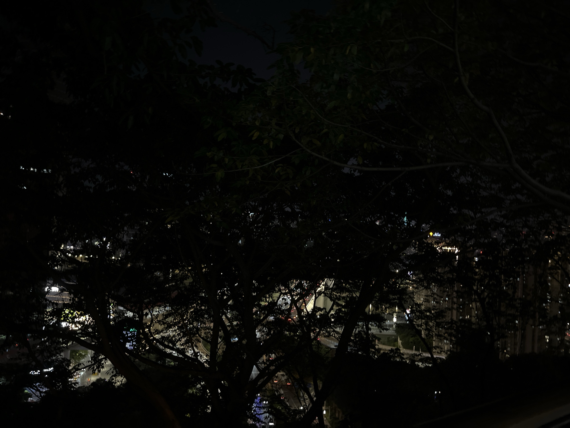The image depicts a night scene overlooking the city of Yuzhong District, China, through the branches of trees. The sky is dark with the faint glow of city lights. The illuminated city is visible through the tree foliage, with roads and buildings discernible by their lights. No people are visible. The environment appears to be on a hillside or elevated location, as evidenced by the downward view of the city.