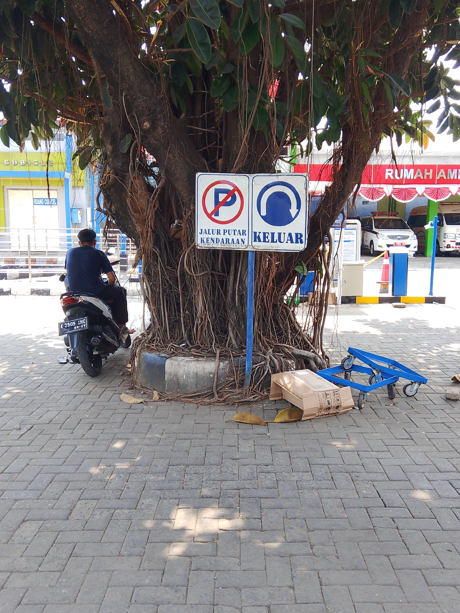 In the city of Potroyudan, Indonesia, a man sits on a motorcycle parked on a brick-paved area in front of a large tree with exposed roots. Two signs are visible: one with a red circle and slash over a 'P', indicating no parking, and another with a blue circle and an arrow, signifying an exit. A cardboard box and a blue trolley are on the ground near the tree. In the background, a building with the text "RUMAH AMB" is partially visible, suggesting it is a hospital. Several vehicles are parked in front of the building, including a white car and an ambulance. The scene appears to be an outdoor area, possibly a parking lot or entrance to a facility.
