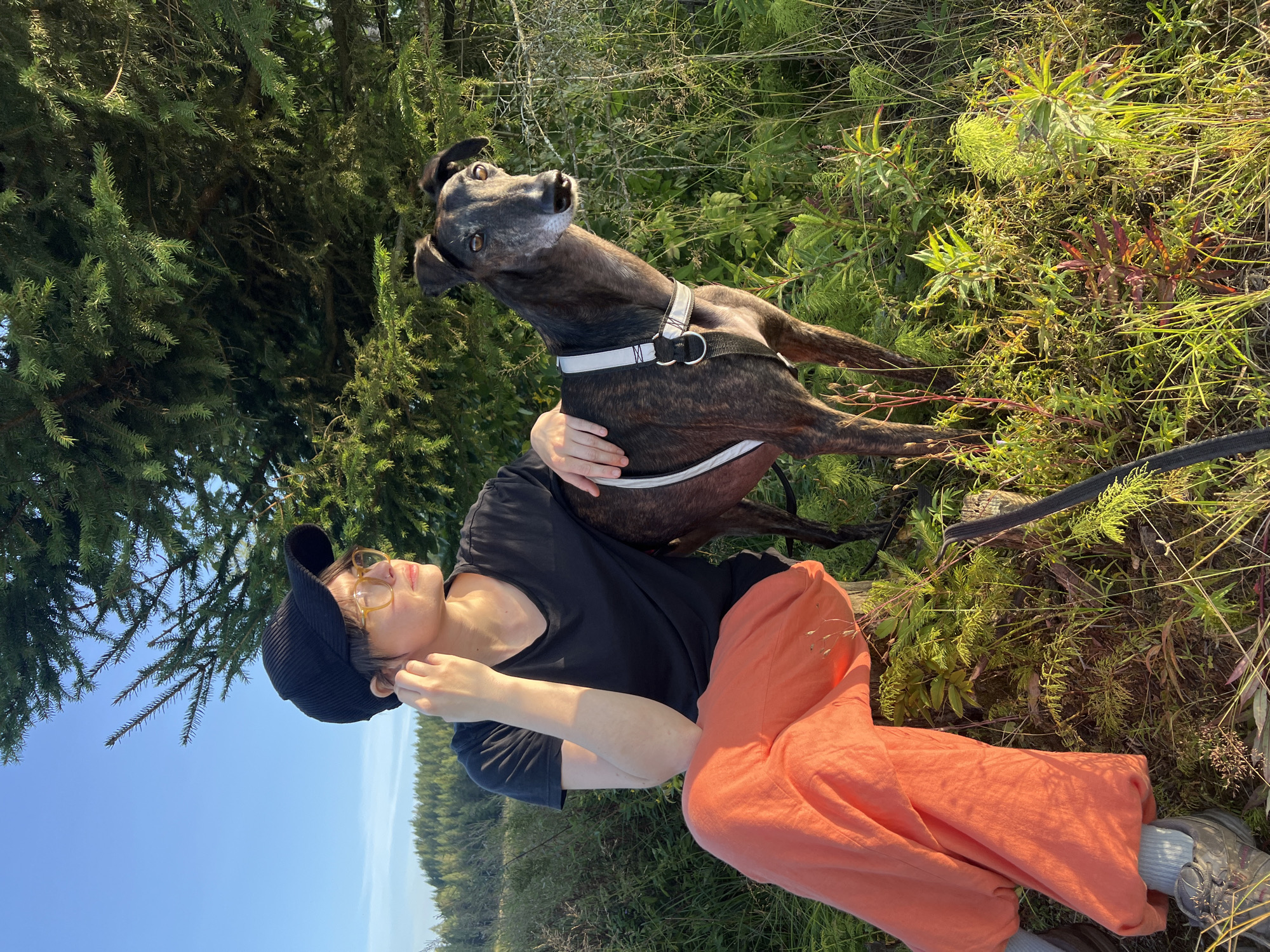 A woman wearing a black baseball cap, yellow-tinted glasses, a black t-shirt, and bright orange pants sits on a wooden post. She is looking off to the right of the frame, her right hand touching her ear. A brindle greyhound dog, wearing a white harness, stands beside her, facing the viewer. The two are in a grassy, outdoor area with a large evergreen tree on the right and a forested hillside in the background. The lighting suggests it is late afternoon or early evening. The image does not provide specific information to determine if the location is in the city of Hämeenlinna, Finland.
