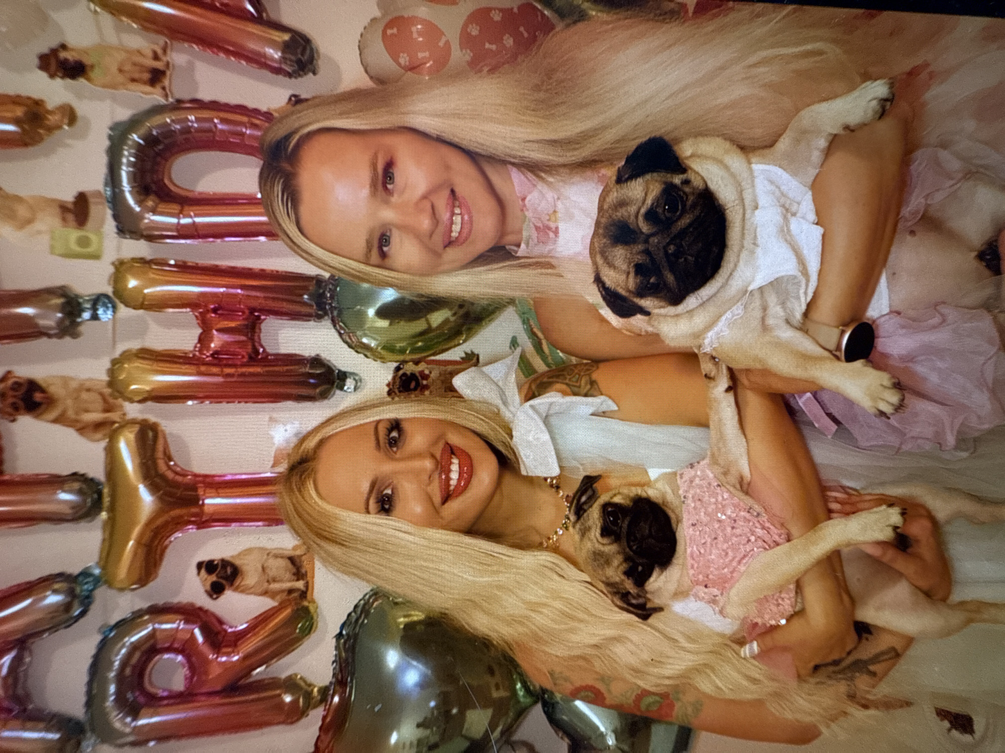 This brightly lit portrait captures two smiling women posing with their pugs against a background of festive balloons. The image is oriented vertically, showing the subjects from the waist up, tilted slightly, suggesting an upward-facing perspective before rotation.
The woman at the top has long, straight blonde hair and a light complexion, wearing a pastel floral-patterned top and a pink tutu-like skirt. She cradles a pug wearing a white ruffled top. A smartwatch is visible on her left wrist. Her smile is broad, revealing white teeth, and her eyes are light-colored.
Below her, another woman with long, blonde hair smiles directly at the camera, wearing a white top and a pink sparkly dress, which also adorns her pug. This woman has more pronounced makeup, including red lipstick and visible tattoos on her left arm. She wears a golden, jeweled necklace.
Both pugs have the characteristic wrinkled faces and dark masks. The top pug's white outfit has ruffles, while the bottom pug's pink dress is sequined.
The background is adorned with large, metallic, gradient-colored foil balloons that spell out "BIRTHDAY." Smaller, lighter-colored balloons, some featuring paw print patterns, are also visible. The overall setting appears to be an indoor celebration, likely a birthday party, given the festive decorations and joyful expressions of the subjects. The lighting suggests daytime.