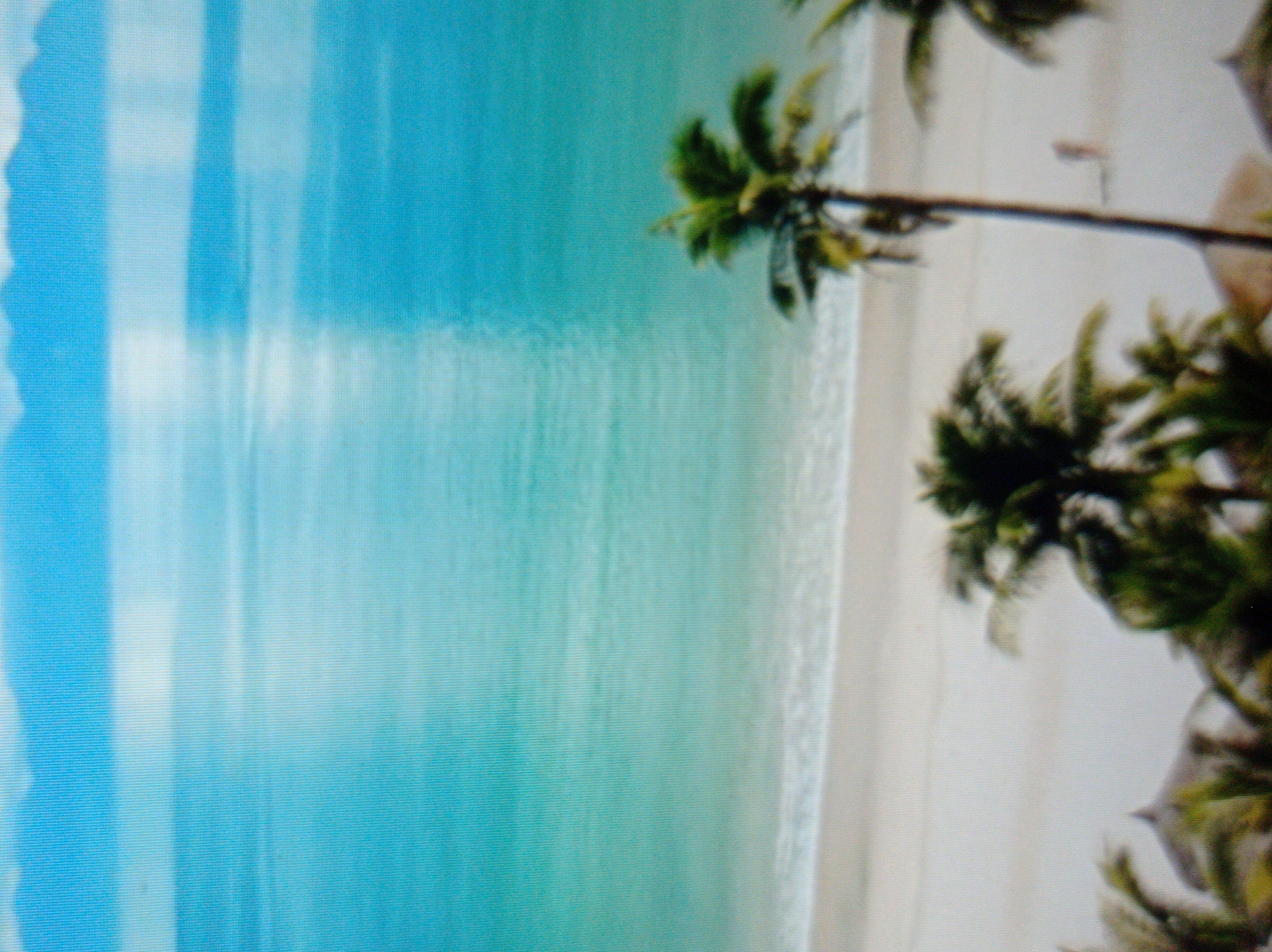 The image depicts a tropical beach scene with a clear turquoise ocean meeting a sandy shore. In the foreground, several palm trees are visible, with lush green fronds. One palm tree stands tall and central, its trunk thin and dark. Further back, on the sand, a lone, small figure of a person can be seen walking. The background shows a hazy, mountainous horizon under a pale blue sky. There is no discernible relation to the city of Mukachevo, Ukraine, as the scene is characteristic of a tropical or subtropical coastal environment.