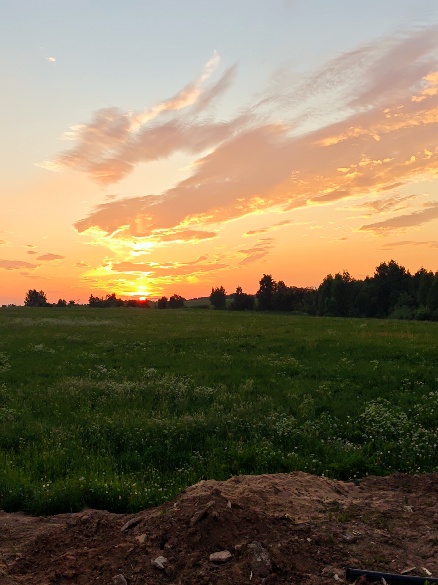 A vertical, low-angle shot captures a vast field with a forest line in the distance during sunset. The sky is filled with vibrant orange and yellow hues, with streaks of pink and white clouds scattered across. The sun, a bright orb, is partially obscured by clouds as it dips towards the horizon, casting a warm glow over the landscape. In the foreground, a patch of rich, dark soil is visible with scattered debris, contrasting with the lush green field dotted with small white wildflowers. The field extends to the tree line, which forms a dark silhouette against the illuminated sky. The overall scene evokes a sense of natural beauty and tranquility at dusk. The image was taken in or near the city of Kurumoch, Russia.