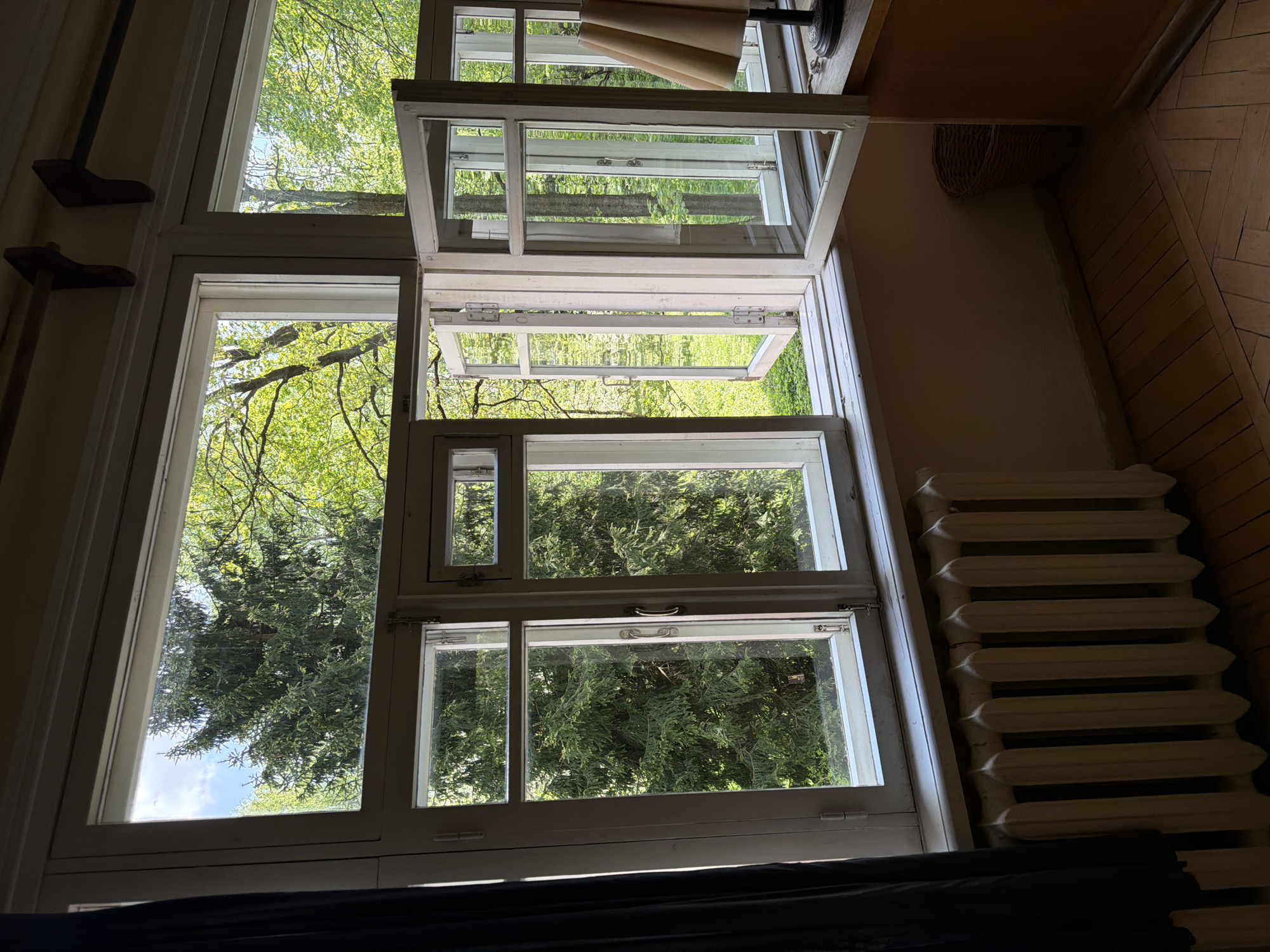 The image depicts a window with multiple panes, some of which are open, looking out onto a green landscape with trees. The window frame is white. Outside, the foliage is dense, suggesting a wooded or garden area. There's a radiator next to the window. The room seems dimly lit. There is no indication of the location being Vnukovo, Russia. No people are visible.