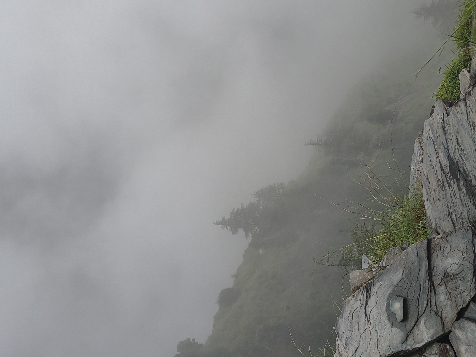 The image depicts a foggy mountain slope in Bhagsu, India. In the foreground, large, layered gray rocks are visible, with a small, heart-shaped stone embedded in one of them. Sparse green grass and thin branches grow on and around the rocks. The middle ground shows a steep, green, and rocky hillside obscured by thick fog. Several evergreen trees, silhouetted by the mist, are scattered across the slope. In the background, the fog is dense, completely obscuring any further landscape features and creating a muted, monochromatic atmosphere.