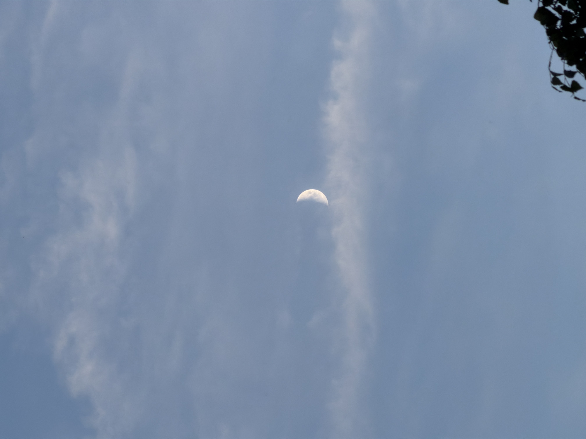 A crescent moon is visible in a pale blue sky, partially obscured by wispy clouds. The moon is located slightly to the left of the center of the image. A dark silhouette of tree branches is present in the bottom right corner of the frame. The scene appears to be an outdoor environment, possibly a park or residential area. There are no people or animals visible in the image. The location is Dreiliņi, Latvia.