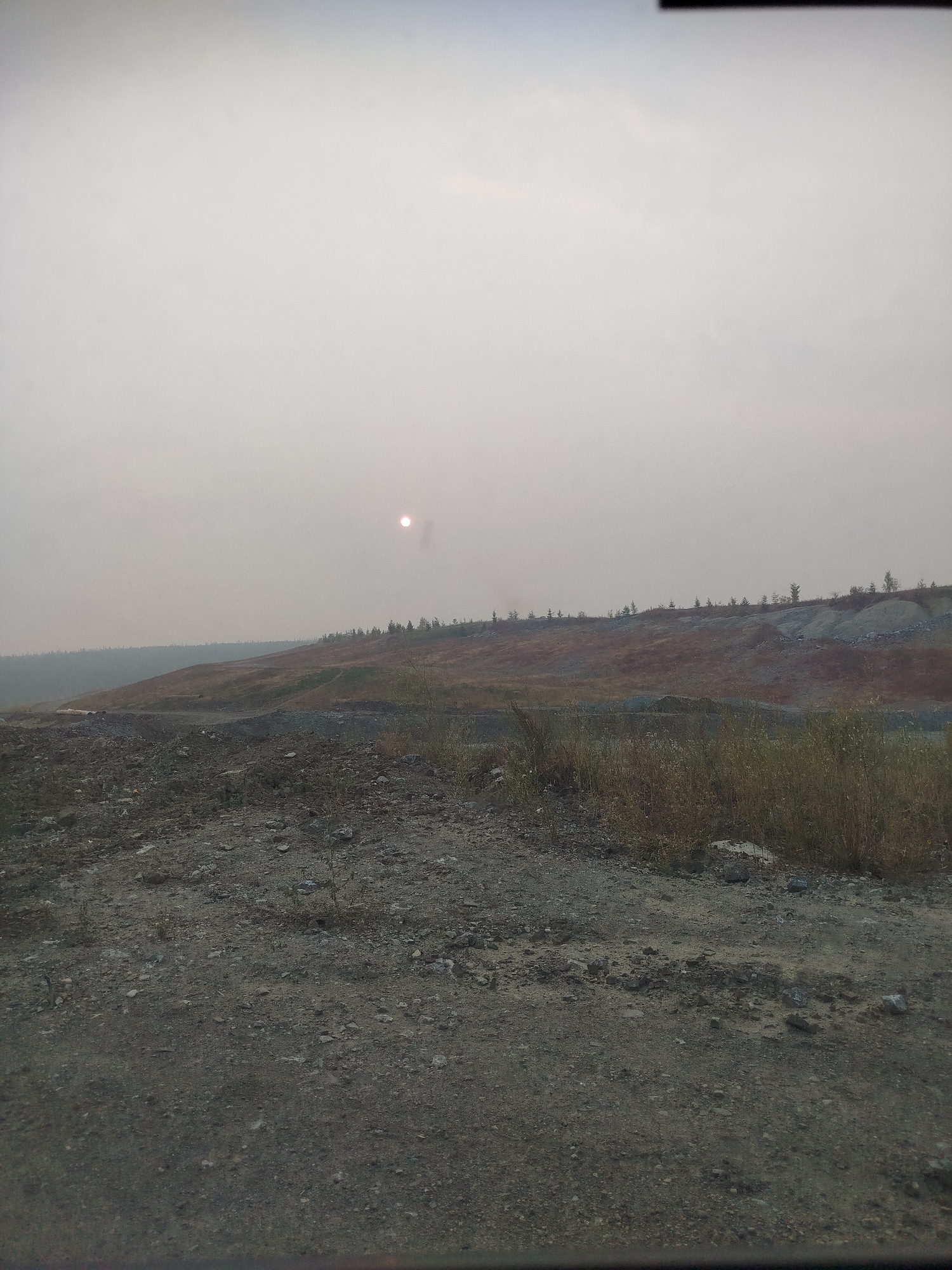An overcast sky hangs low over a desolate landscape, likely a quarry or mine. The sun, a pale, diffused orb, is visible in the upper right quadrant, its light struggling to penetrate the haze. The terrain is uneven, characterized by rocky ground, piles of rubble, and sparse vegetation. In the mid-ground, a series of hills are covered in a mix of dry grasses and patches of reddish-brown earth, suggesting a dry or arid environment. A line of small, dark-green trees are sparsely planted along the crest of one of the hills, appearing as dark silhouettes against the hazy sky. The foreground consists of rough, gravelly ground, with a few scattered rocks and small clumps of dry grass. The overall impression is one of an industrial or disturbed natural area, with a somber and subdued atmosphere due to the heavy cloud cover and haze. The specific location in Mirny, Russia, is consistent with the rugged, resource-extraction landscapes found in the region, often associated with diamond mining.