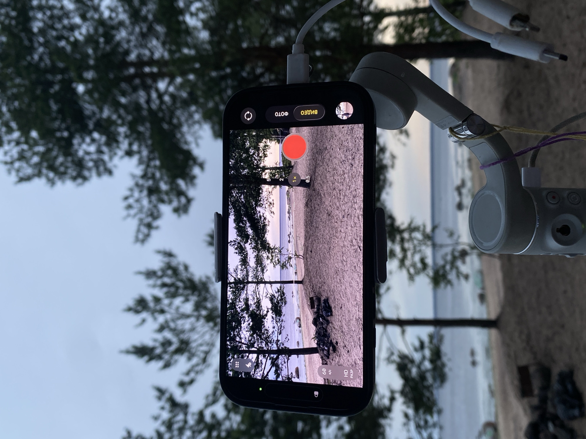 The image shows a smartphone mounted on a gimbal, capturing a video of a beach scene. The smartphone screen displays the camera interface with various settings such as "60 K/c" and "HD PA3P" visible. The scene being filmed includes trees, sand, rocks, and the sea under an overcast sky, suggesting a location in Primorsk, Russia, likely a coastal area. The gimbal itself is white and has cables connected to it. The overall atmosphere is calm and natural.