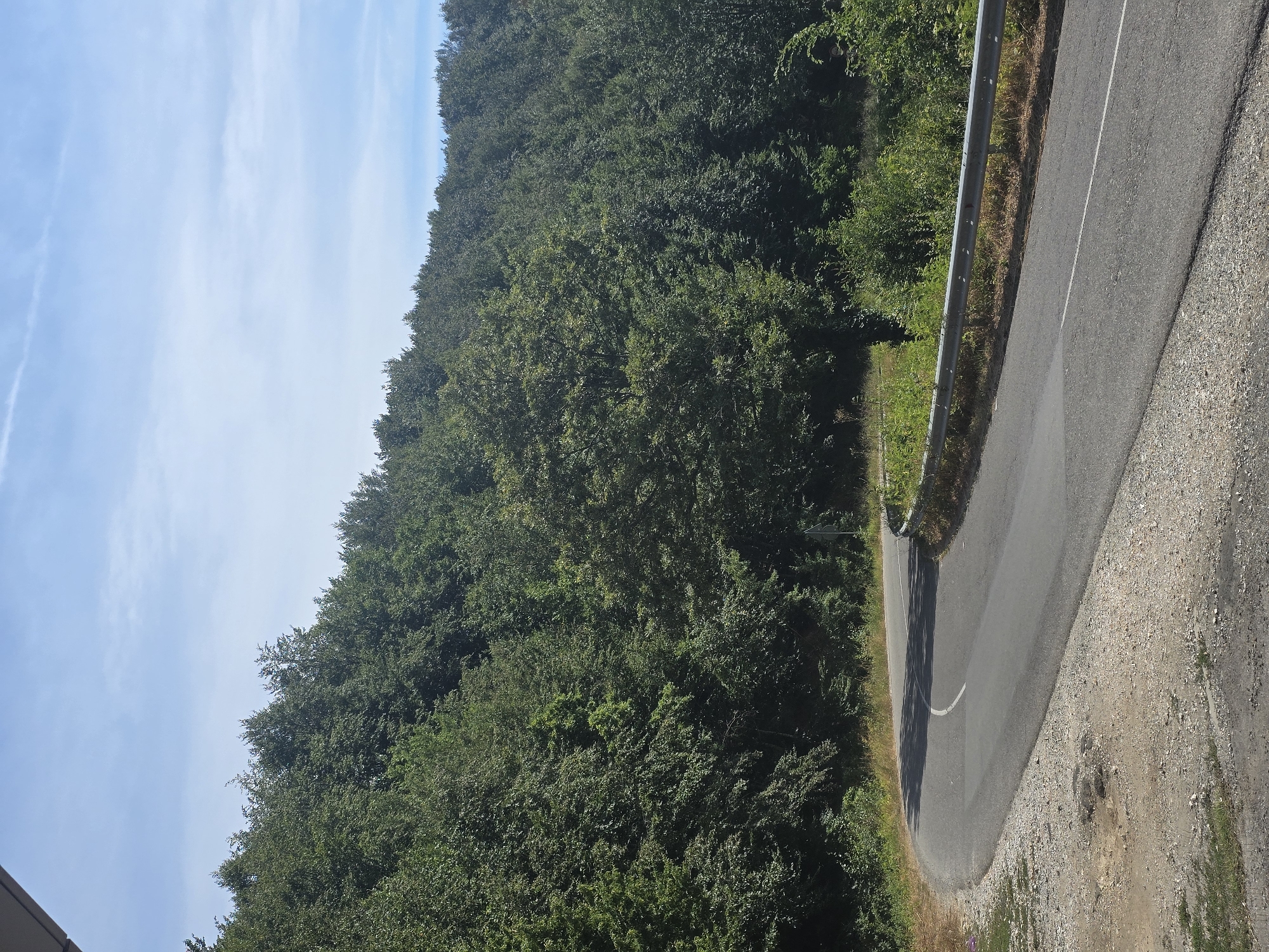 This image captures a scenic view of a winding asphalt road cutting through a dense, green forest. The road curves to the left, with a white line marking its center. A metal guardrail runs along the right side of the road, separating it from the embankment. The forest canopy is lush and full, indicative of a summer season. Above the trees, a bright blue sky with scattered white clouds adds to the serene atmosphere. The foreground shows a gravelly shoulder with some sparse vegetation. A small, faded signpost is partially visible on the right side of the road, suggesting this is a rural or mountainous area. The image appears to be taken in the vicinity of Malko Tarnovo, Bulgaria, a town known for its natural beauty and forested surroundings in the Strandzha Mountains. There are no people or animals visible in the frame.