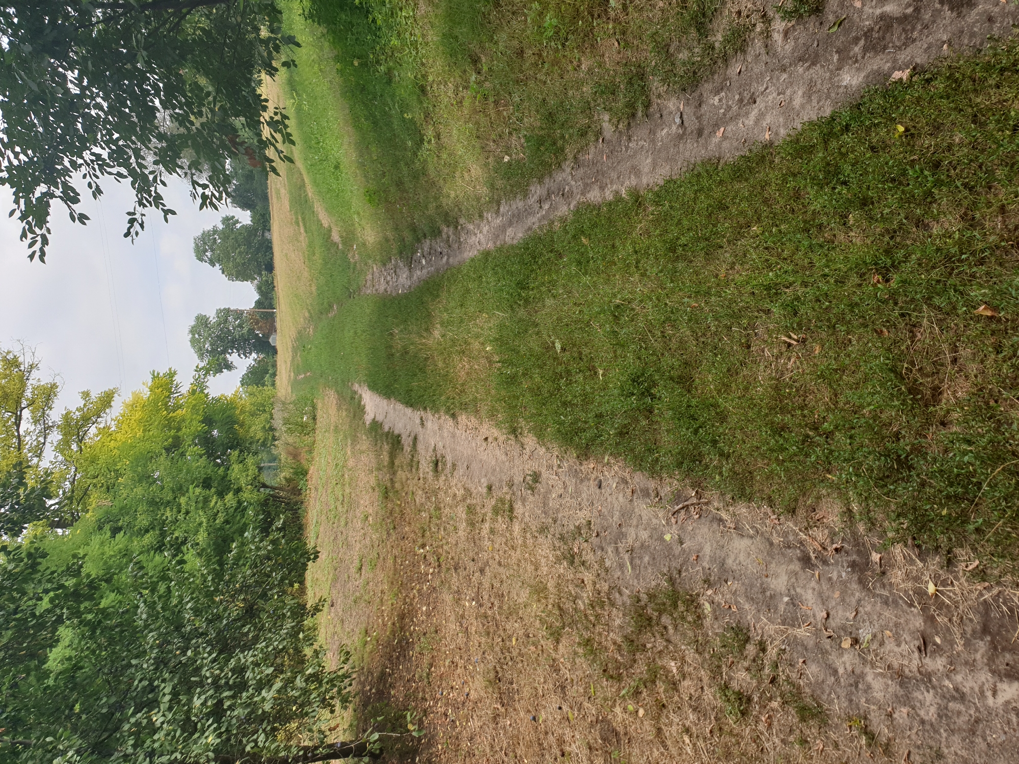 An outdoor shot captures a dirt path winding through a natural landscape. The path is flanked by lush green grass on the right and dry, brown vegetation and dirt on the left. Trees with green and yellowing leaves line the sides of the path, some casting shadows on the ground. In the distance, a gently sloping field of dry grass is visible, dotted with several trees. The sky is overcast with a few clouds. The scene appears to be in a rural or park-like setting. The specific location within Lozovyi Yar, Ukraine, is not discernible from the image. There are no people or animals present in the frame.