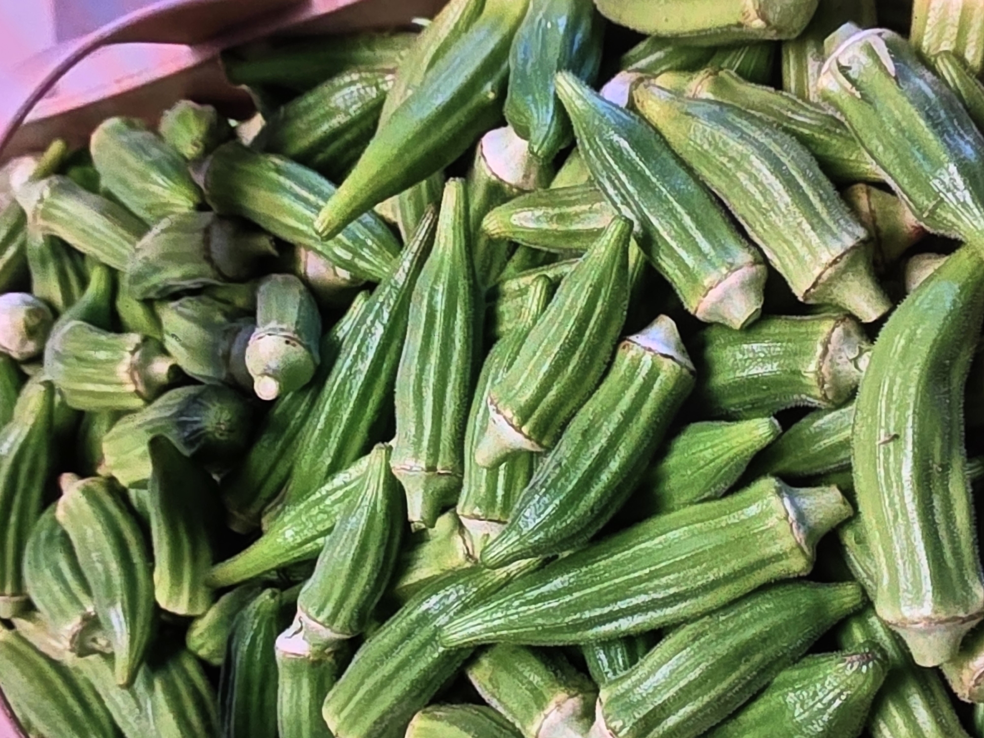 The image shows a close-up, overhead view of a large pile of fresh okra pods. The okra is green with visible ridges running lengthwise along each pod. The pods are of varying sizes and are densely packed together, creating a textured surface. The lighting highlights the smooth, slightly fuzzy texture of the okra and emphasizes the vibrant green color. The background is indistinct, appearing to be the edge of a container, possibly pink or purple in color. There are no people or animals visible in the image. The scene depicts a collection of fresh produce. There is no information within the image to suggest a specific location in Voluntari, Romania.