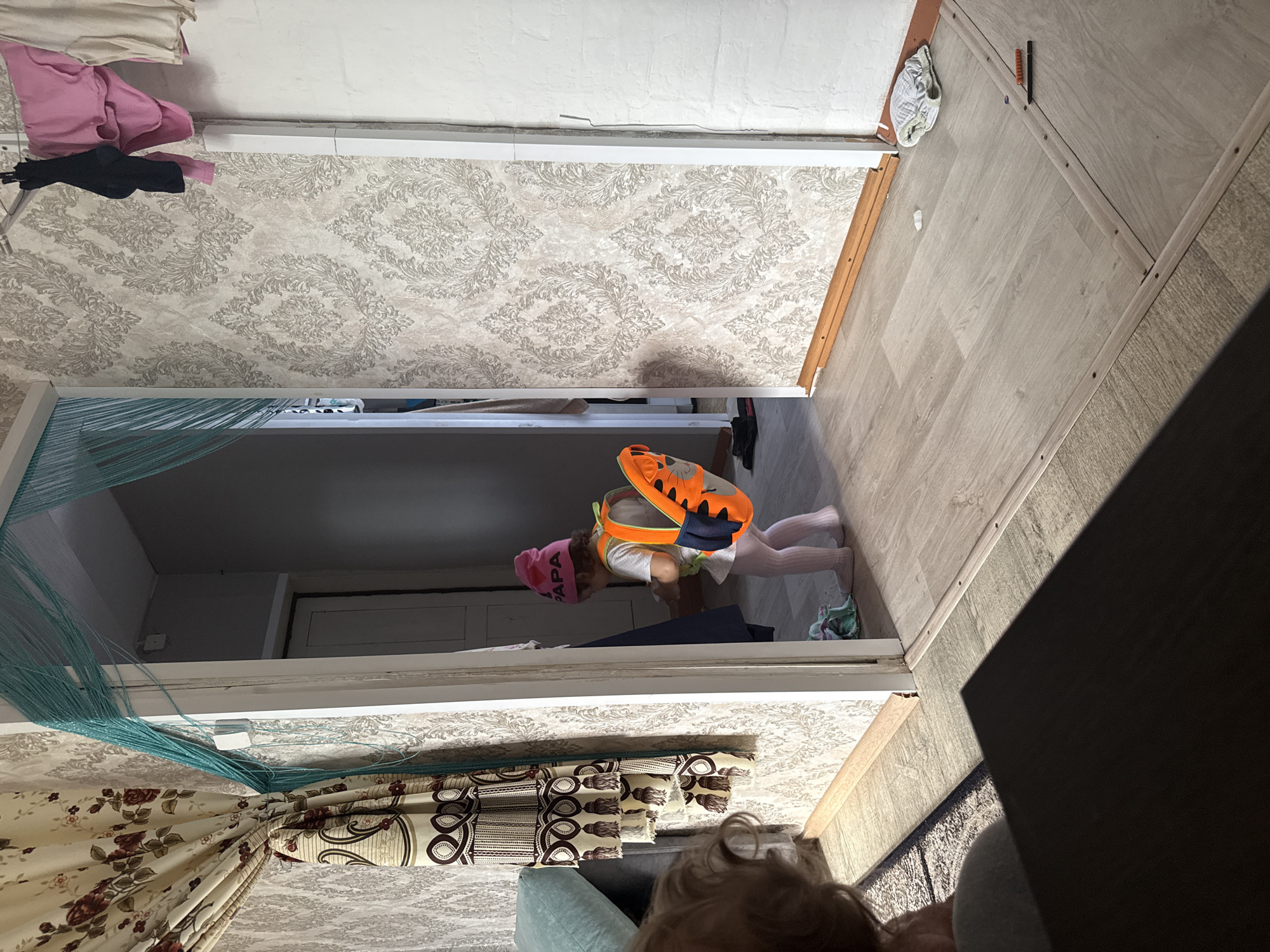 The image depicts an indoor scene, likely a hallway or doorway area of a home in Уральское, Russia, rotated 90 degrees clockwise. The perspective is from a low angle, possibly from another person looking over their shoulder, as the top of a head with light-colored hair is visible in the bottom right foreground.
The primary subject is a young child, possibly a toddler, standing near a doorway. The child wears a white long-sleeved shirt, light-colored tights or leggings, and a pink beanie. On the beanie, the word "ПАПА" (PAPA) is visible in white text, accompanied by a small white heart. The child is also wearing a bright orange and black backpack, which appears to have a tiger face design on it, suggesting a playful accessory. The child's face is obscured as they are turned away, seemingly looking into the room beyond the doorway.
The interior features light beige wallpaper with a repeating damask-like pattern. The flooring is a light wood-look laminate, with sections delineated by thin wooden strips, possibly indicating expansion joints or repairs. White baseboards and door frames are present. A light blue, possibly string-like, curtain hangs in the doorway where the child is standing. To the left, another curtain with floral and geometric patterns is visible. On the wall in the upper left, some clothes (pink, black, and beige items) are draped or hung. On the floor in the upper right, a white cloth or sock and a dark object resembling a pen or tool are present. A small, crumpled green item is near the child's feet. The overall ambiance is domestic and casual.