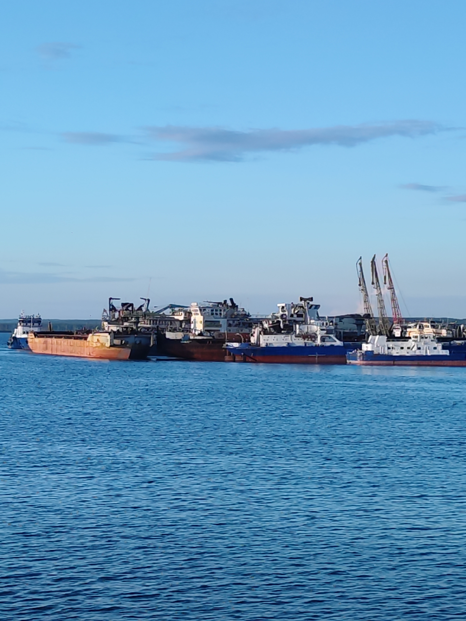 The image displays an industrial waterscape under a bright, clear blue sky with a few faint, wispy clouds. A wide expanse of calm, rippling blue water occupies the foreground and midground.
In the middle distance, several diverse vessels are moored or docked together, indicative of a port, shipyard, or industrial facility. On the left, a blue and white ship is partially visible. Adjacent to it is a prominent, long, orange-hulled barge or cargo ship. This vessel is surrounded by other industrial ships, some featuring complex superstructures and various pieces of equipment. Further to the right, additional ships are seen, including one with a white superstructure and a blue hull. Behind these vessels, a group of tall, rusty-colored cranes stands against the horizon, suggesting loading, unloading, or construction activities.
The lighting indicates natural daylight, likely late morning or afternoon, providing clear visibility across the scene. The weather appears fair and calm. A faint line of land or trees is discernible on the distant horizon, behind the array of ships. No people or visible text are apparent in the photograph. The overall scene captures an active maritime environment, consistent with a river port like Chaikovsky, Russia.