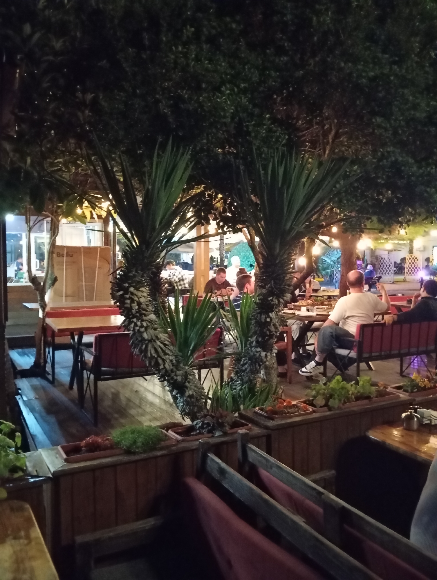 The image depicts an outdoor seating area of a restaurant or cafe in Sokhumi, Abkhazia, at night. The area is heavily shaded by dense foliage from trees and features large yucca plants. Several tables and seating arrangements are visible, including wooden tables with red chairs and benches. In the foreground, there are wooden planters containing green plants and red flowers. In the midground, several patrons are seated at tables, some eating and others engaged in conversation. A man in a light-colored shirt and blue jeans is seated at a table, looking towards the right. Another man, wearing a dark shirt, is seated to his right. In the background, more people are visible dining at tables under string lights. The overall atmosphere appears relaxed and social.