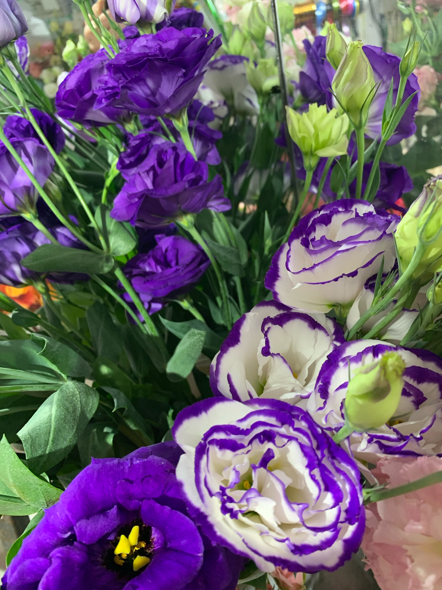 A close-up, vertical shot displays a bouquet of vibrant flowers, predominantly purple and white lisianthus, with several unopened buds interspersed. The lighting is soft, highlighting the delicate textures of the petals and the deep green of the foliage. The background is blurred, suggesting a shallow depth of field, and appears to be an indoor setting, possibly a florist shop or a home. There is no indication of the specific location within the city of Sumy, Ukraine, as the image focuses solely on the floral arrangement. No people or actions are visible.
