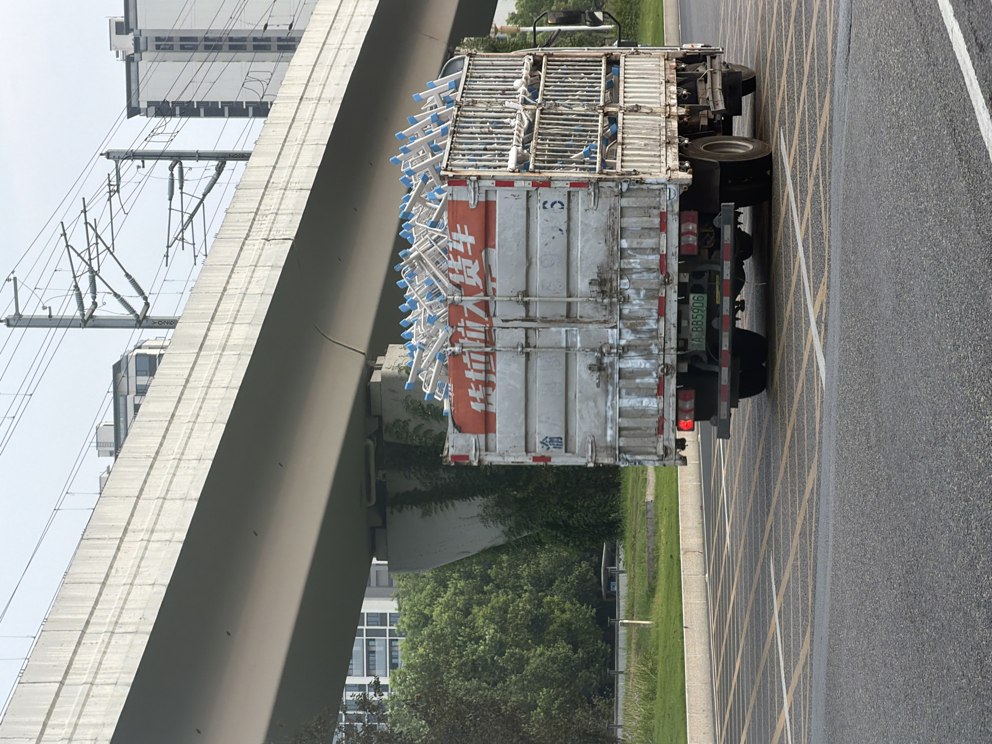An outdoor, medium shot captures a truck in transit under an elevated structure, likely a highway or railway overpass, on a clear day in Jiangjin, China. The truck, a white and grey cargo vehicle, is filled with a large quantity of white and blue metal stools or chairs, neatly stacked and secured within a caged rear bed. The truck's side displays red and white lettering, partially obscured, and a license plate reading "A BB5906". The truck is on a paved road marked with yellow grid lines. In the background, lush green trees and vegetation line the roadside, with modern, multi-story buildings visible behind them. The elevated structure is a large, concrete overpass with overhead wires. The overall scene depicts urban transportation and logistics in a city environment.