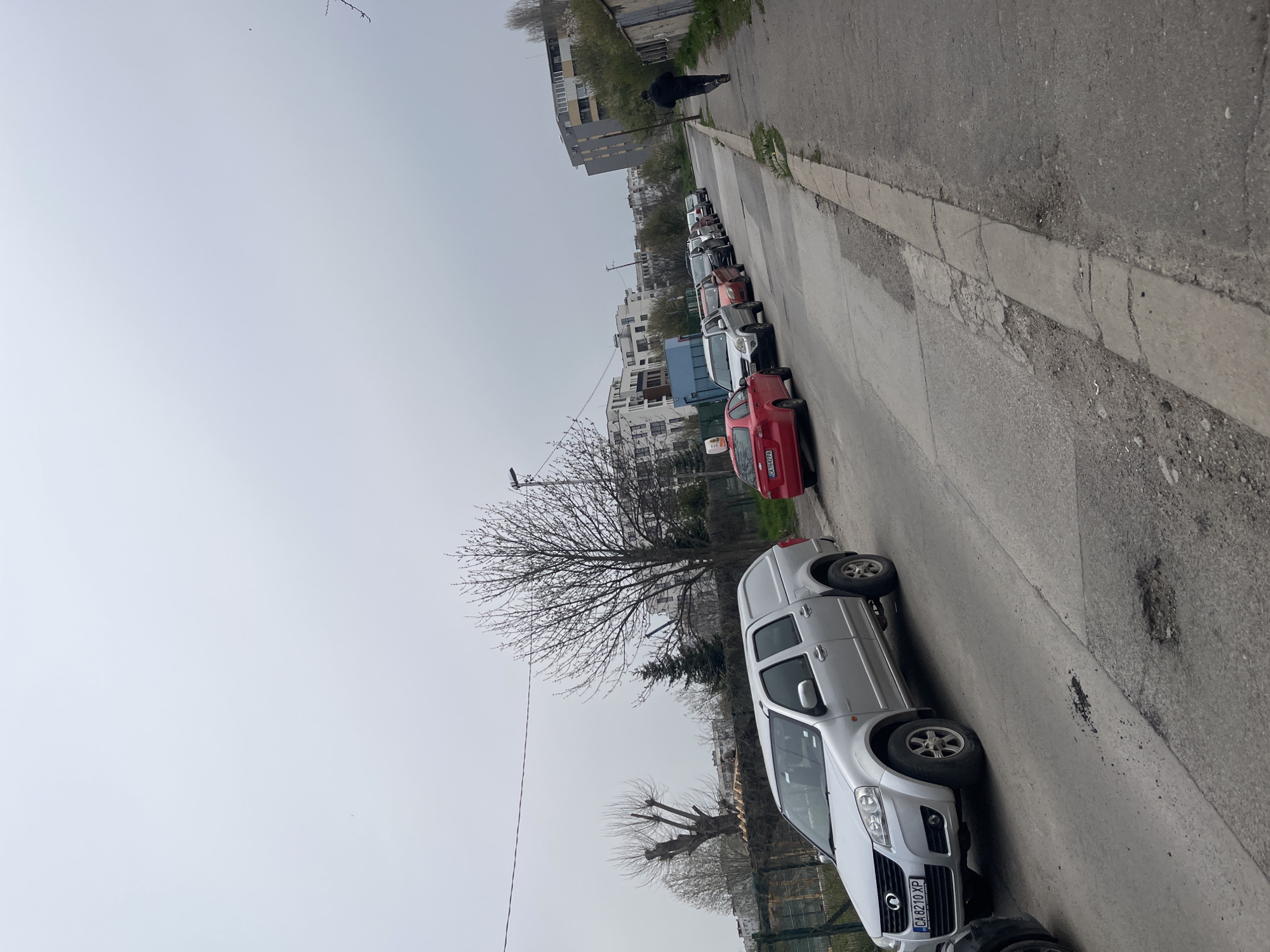 The image shows a street in Sofia, Bulgaria. The street is lined with parked cars, including a silver pickup truck with license plate CA 8210 XP, a red hatchback with license plate CA 6424 PA, and several other vehicles of various colors and models. A person is walking along the sidewalk in the distance. A bare tree is visible in the middle ground. Buildings line the other side of the street. The sky is overcast.