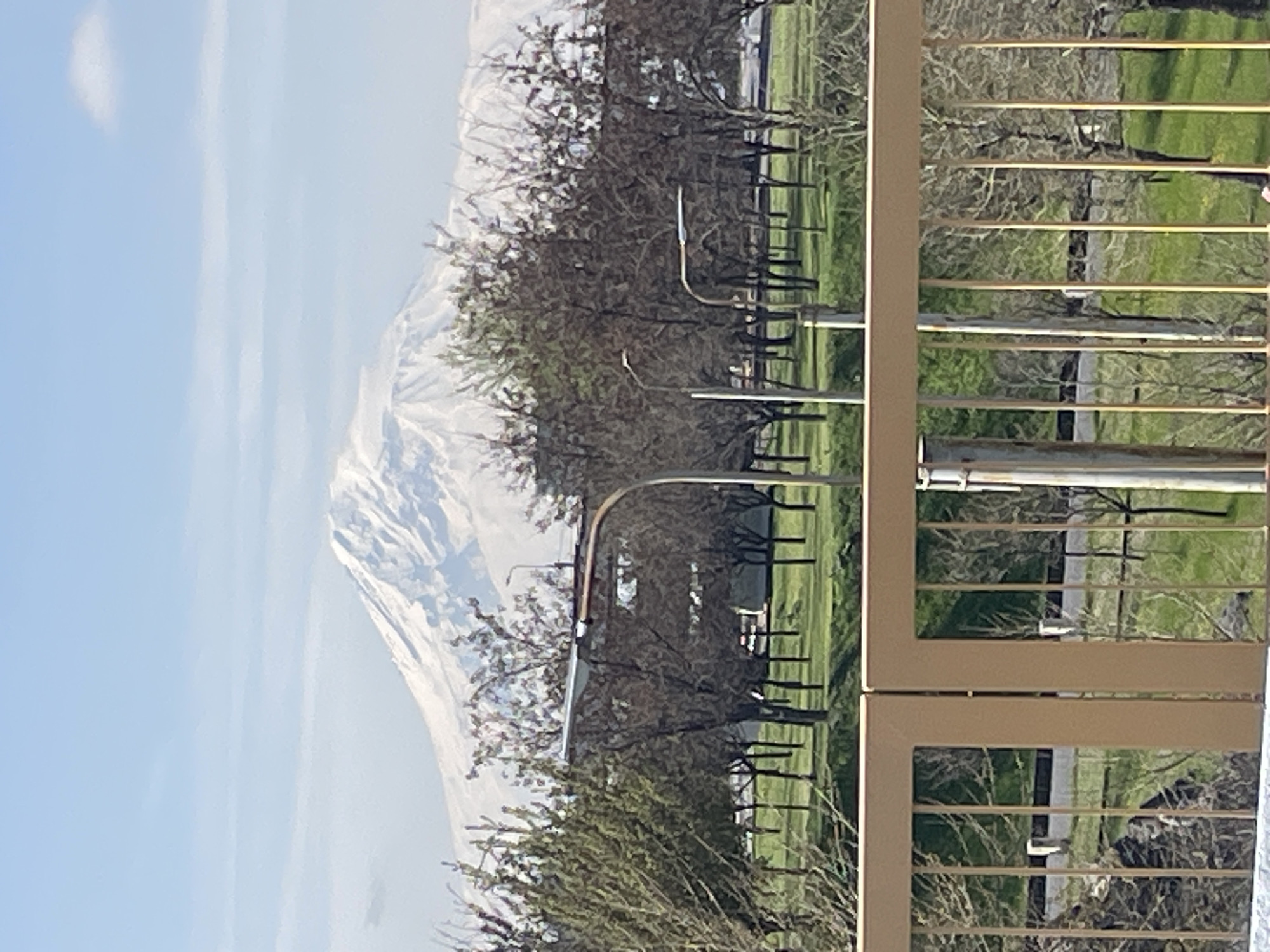 The image shows a snow-capped mountain, possibly Mount Ararat, visible in the distance. The foreground includes trees, a grassy area, and a fence or railing, suggesting the view is from a balcony or elevated location. The sky is mostly blue with some wispy clouds. The presence of what appear to be streetlights further indicates an urban or suburban environment. Given the mountain's prominence and the landscape visible, it is plausible the location is Yerevan, Armenia, where Mount Ararat is frequently seen on the horizon.
